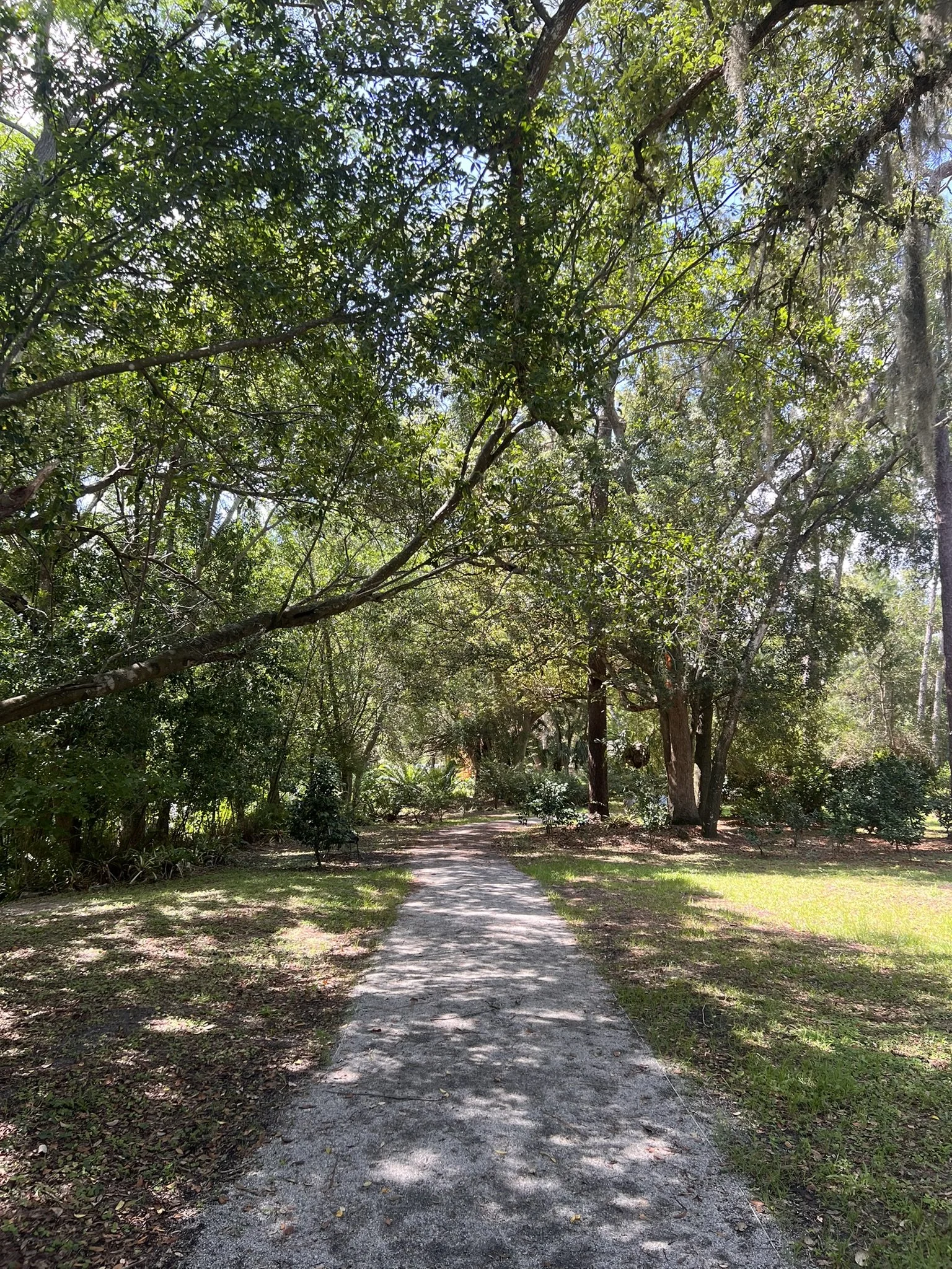 Mead Botanical Garden (3).JPEG