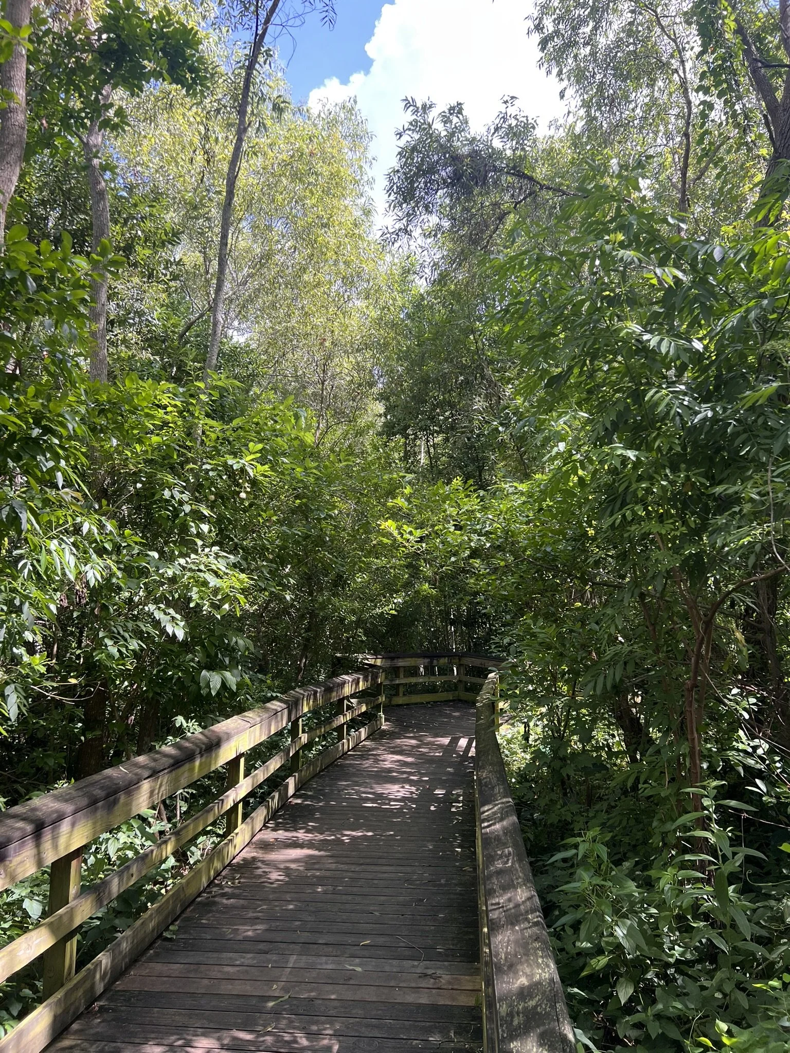 Mead Botanical Garden (6).JPEG