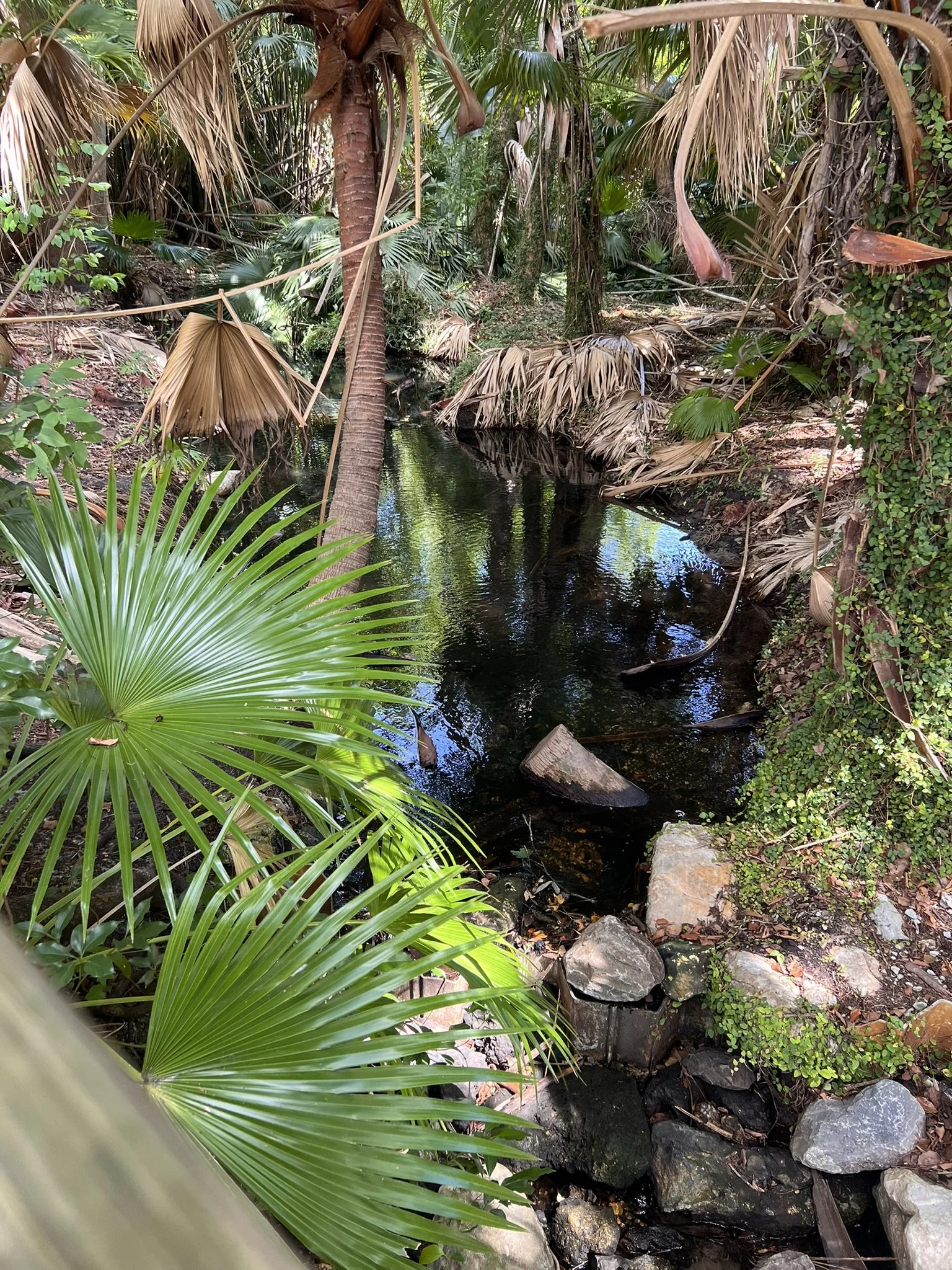 Mead Botanical Garden (13).JPEG
