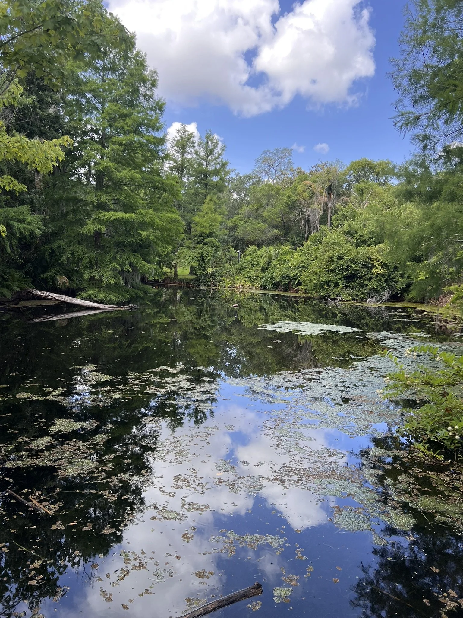 Mead Botanical Garden (18).JPEG