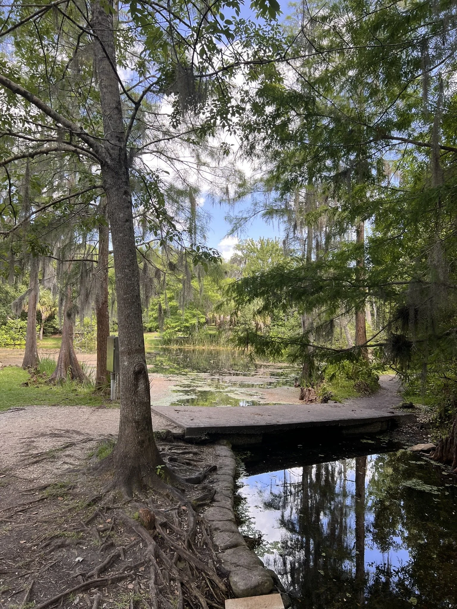 Mead Botanical Garden (21).JPEG