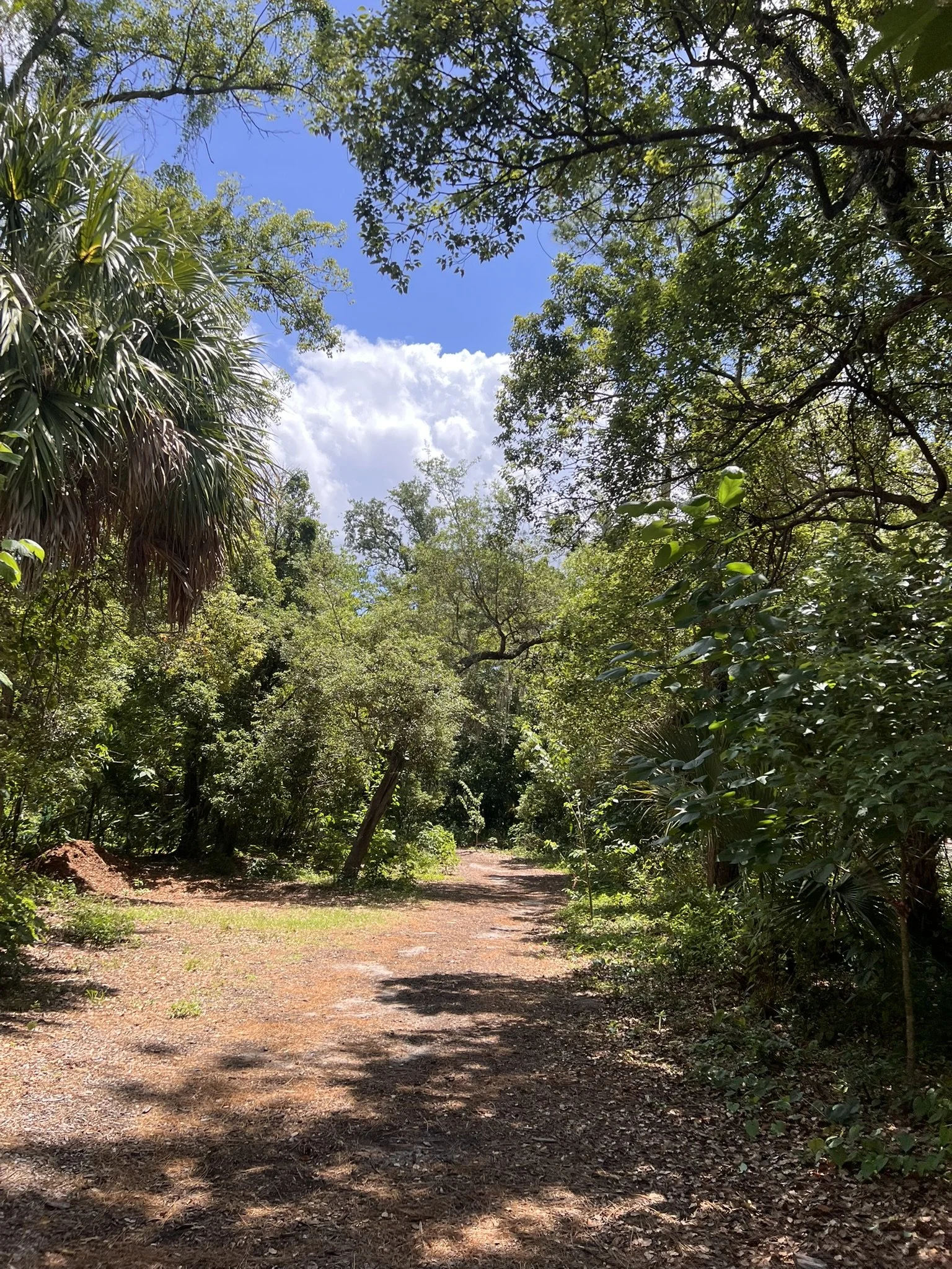 Mead Botanical Garden (24).JPEG