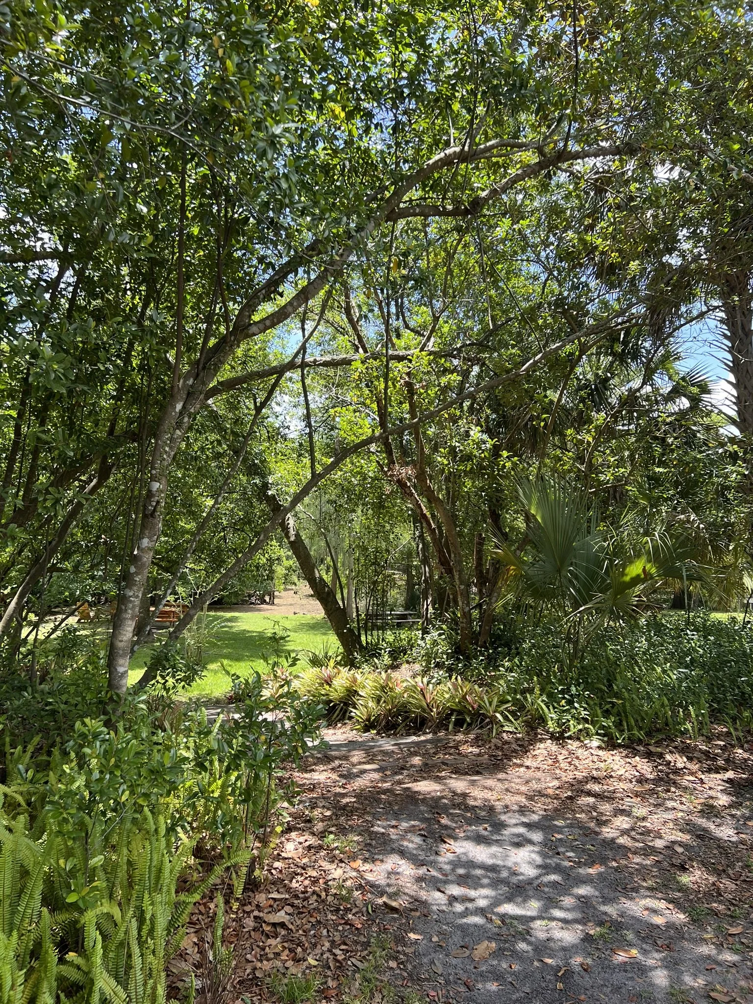 Mead Botanical Garden (28).JPEG