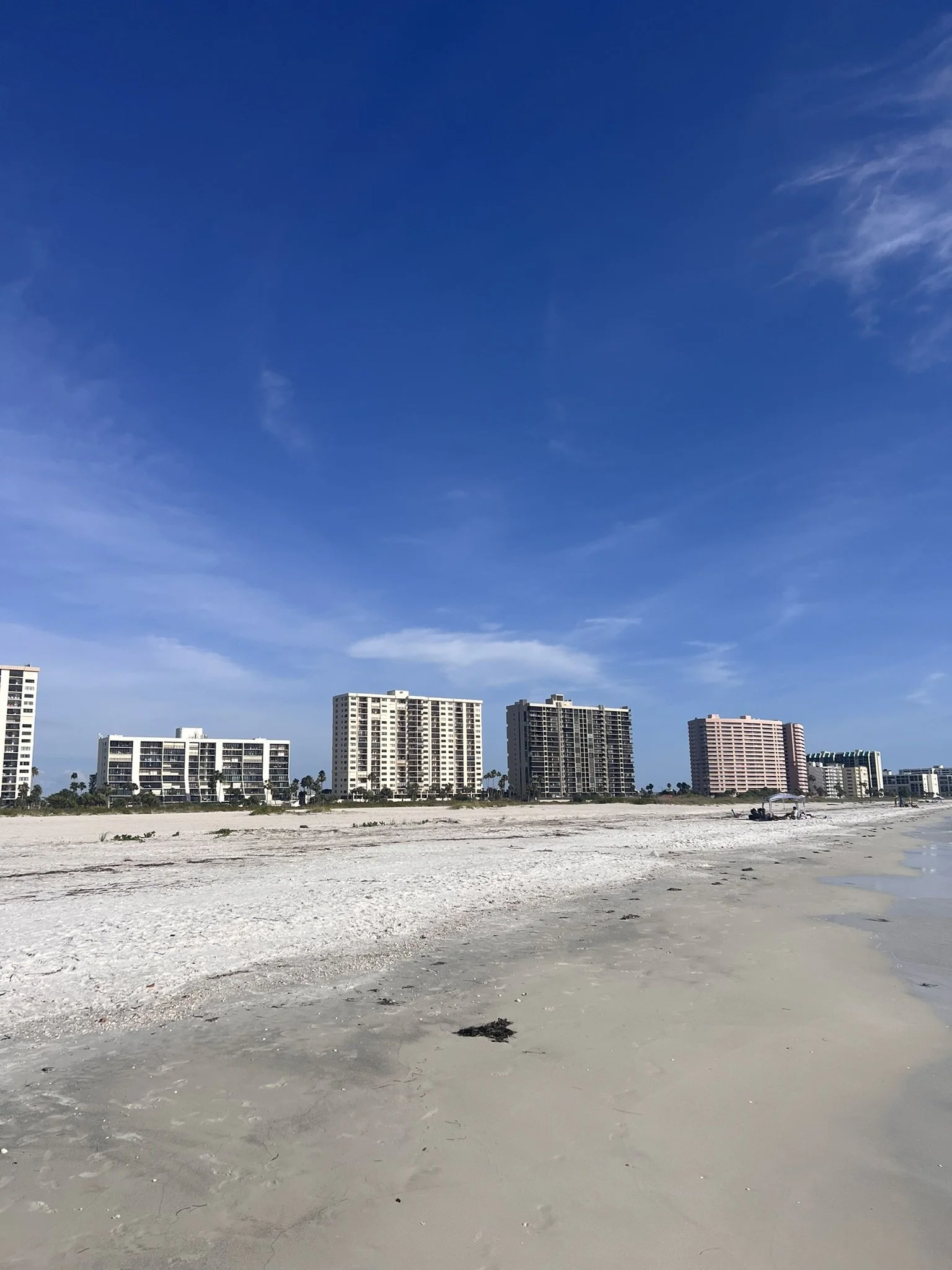 Sand Key Park (5).JPEG