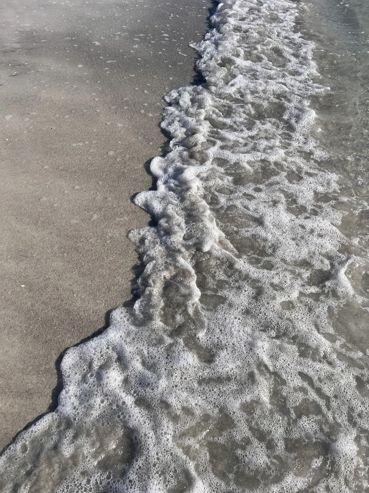 Sand Key Park (10).JPEG