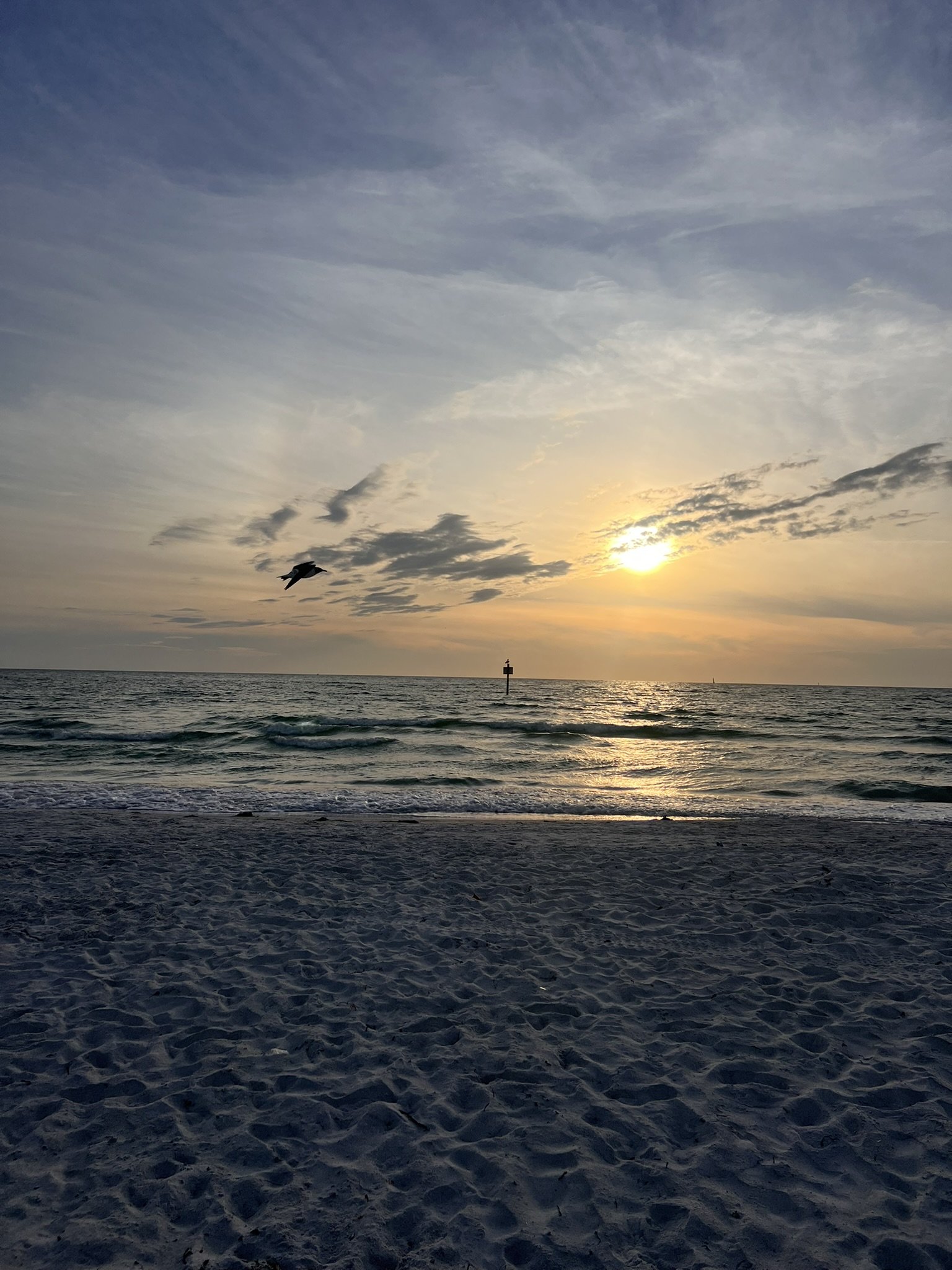Sand Key Park (14).JPEG