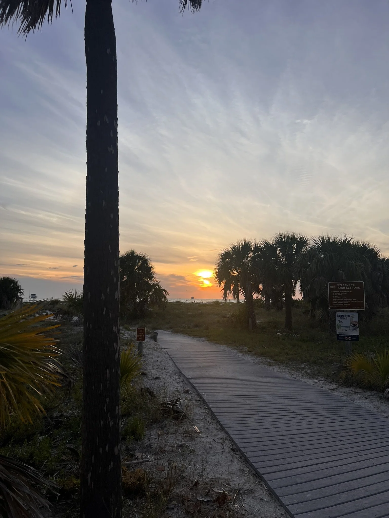 Sand Key Park (16).JPEG