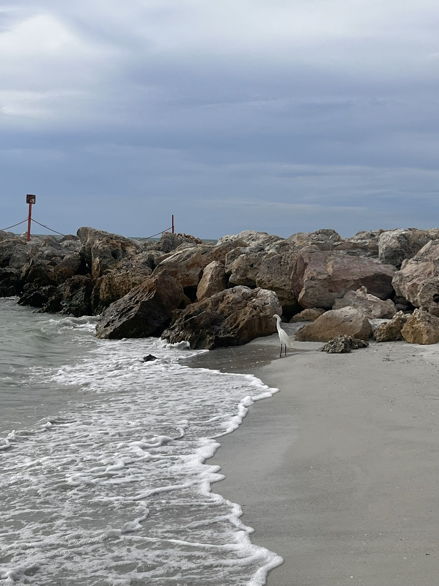 Sand Key Park (18).JPEG