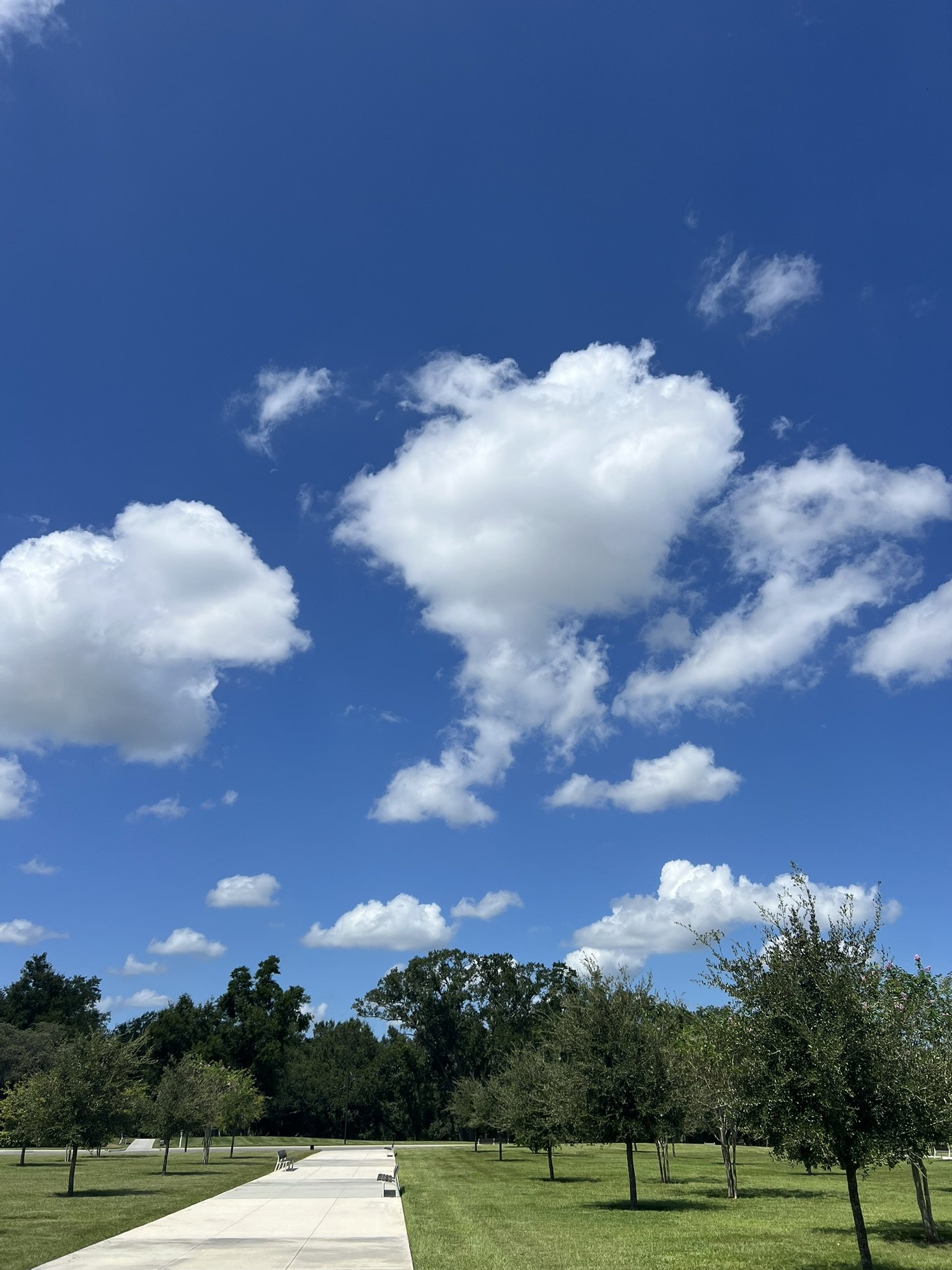 Bonnet Springs Park (9).JPEG