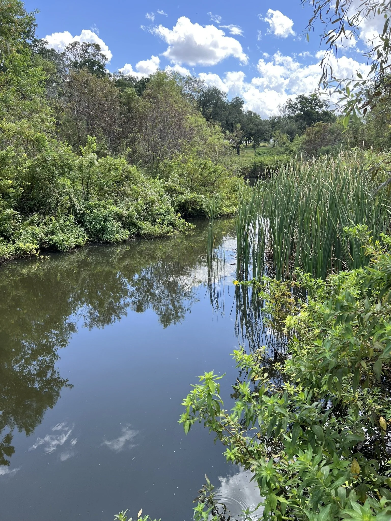 Bonnet Springs Park (19).JPEG