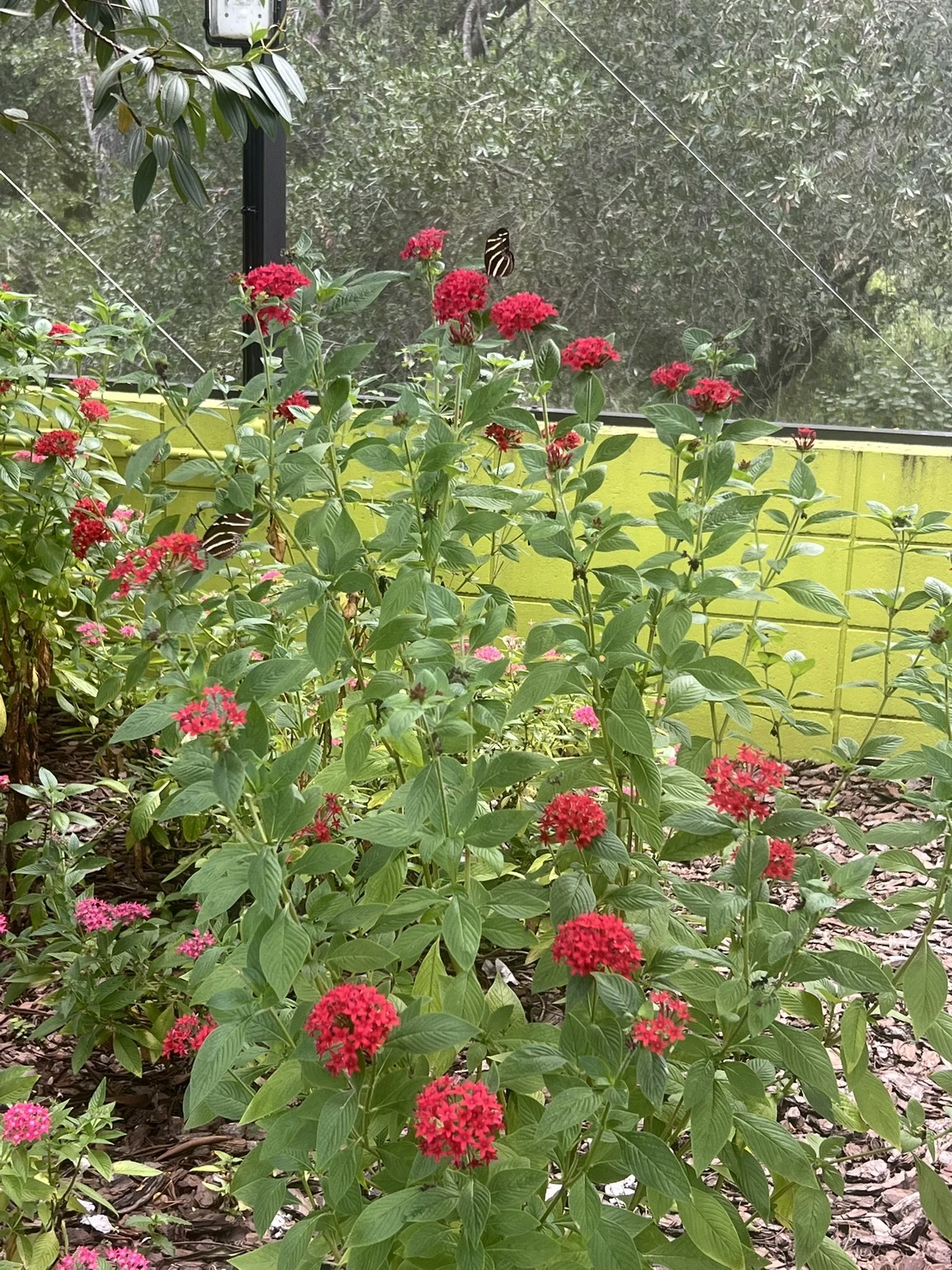 Bonnet Springs Park (30).JPEG