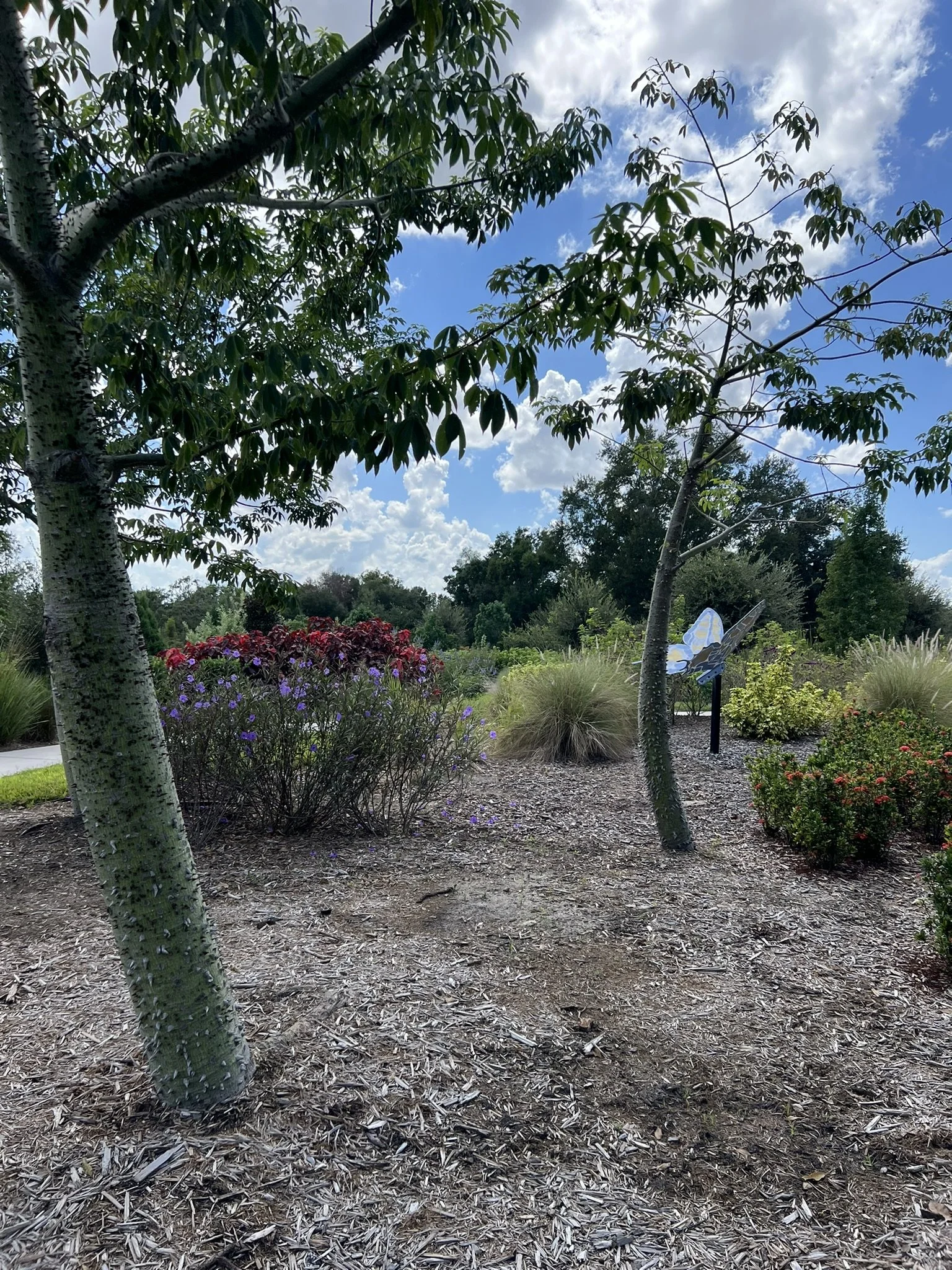 Bonnet Springs Park (32).JPEG