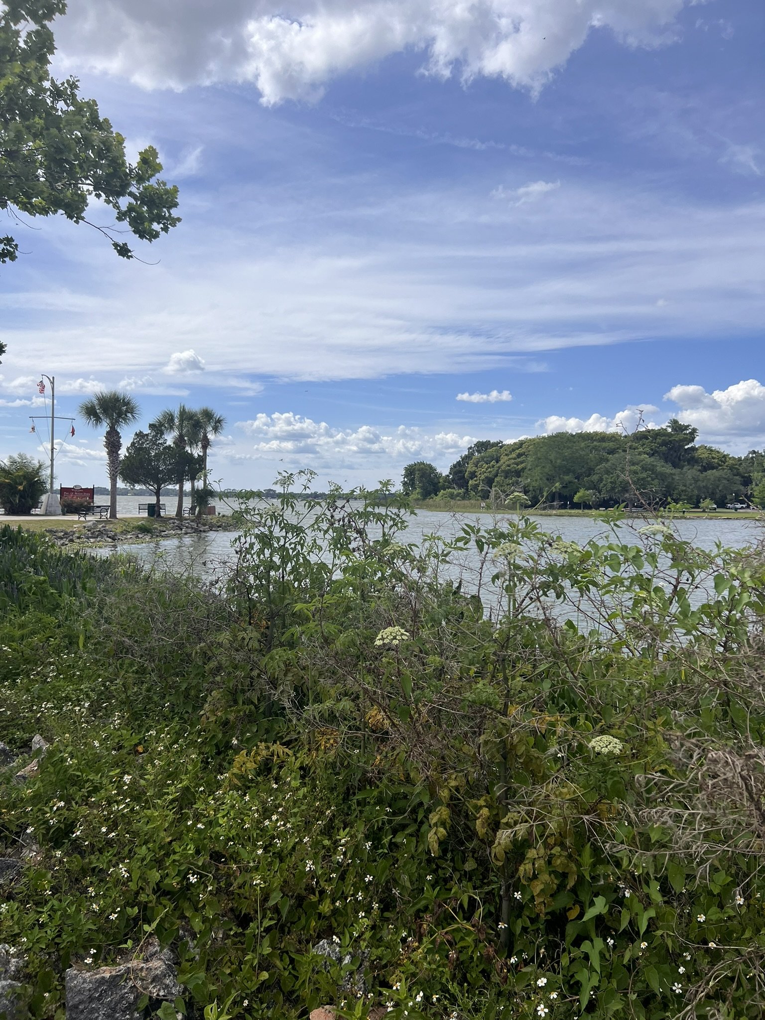 Gilbert and Palm Island Park (7).JPEG