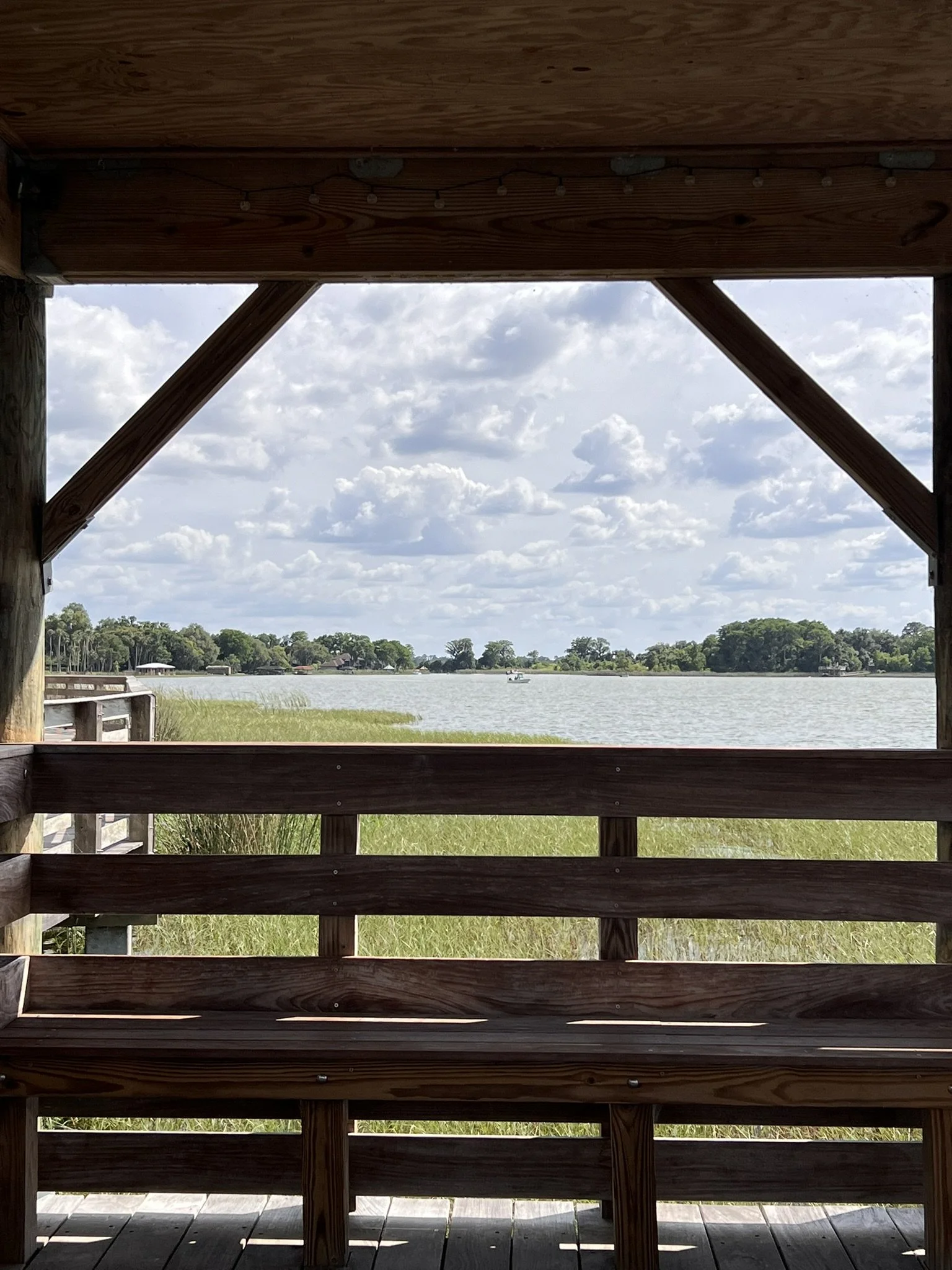 Gilbert and Palm Island Park (14).JPEG