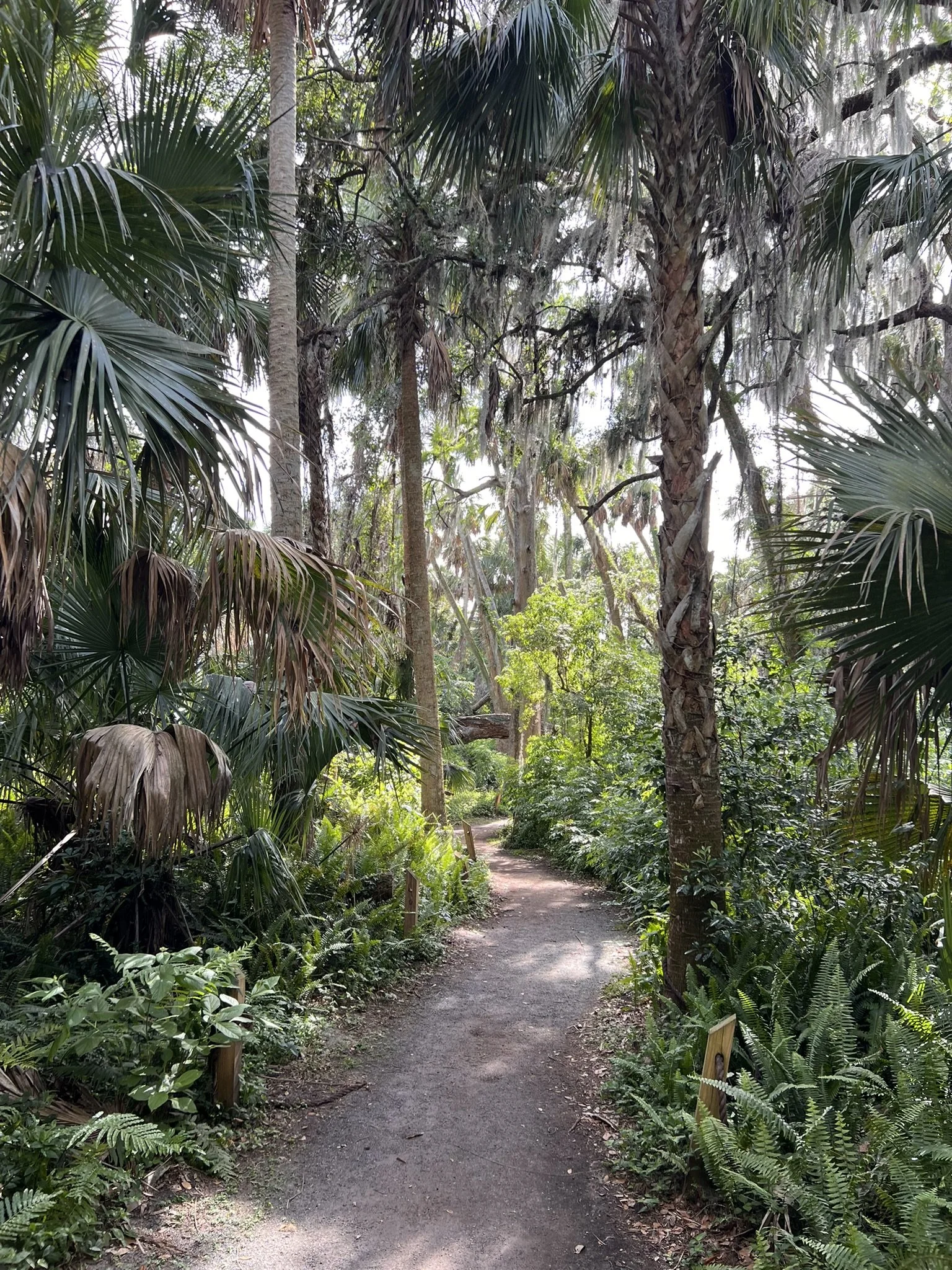 Gilbert and Palm Island Park (18).JPEG
