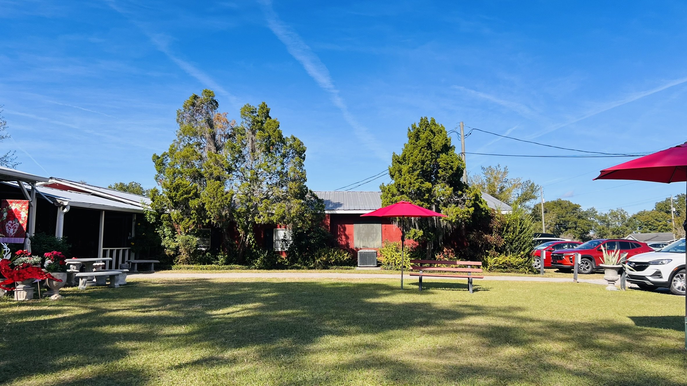 The Delightful (and tasty) Secret Hiding in Lake Alfred 