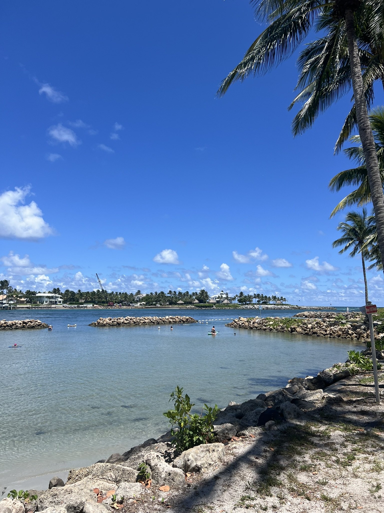 DuBois Park  (1).JPEG