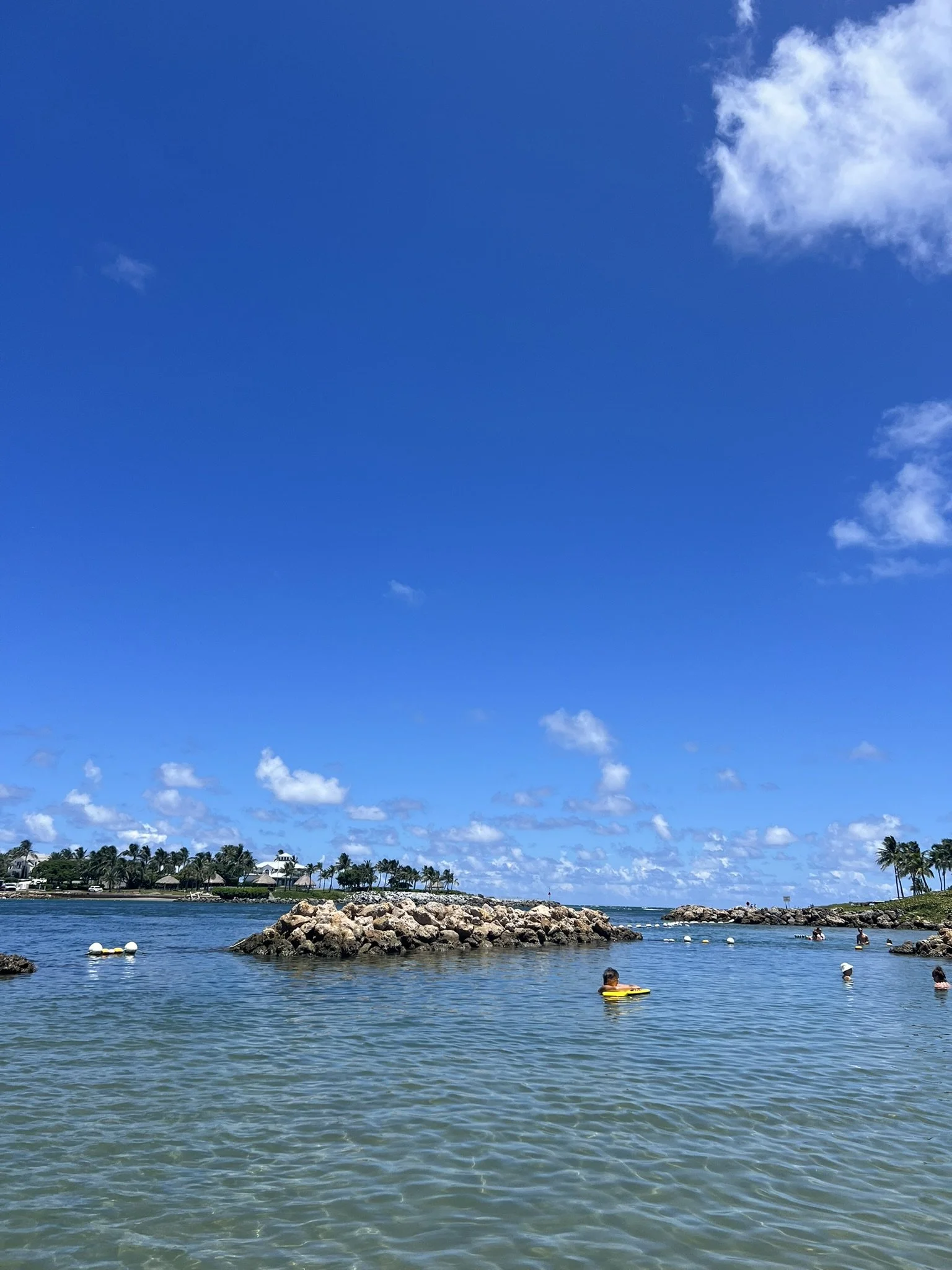 DuBois Park  (3).JPEG