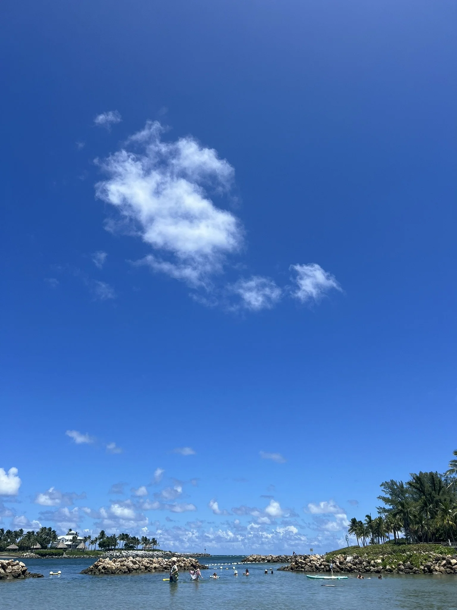 DuBois Park  (4).JPEG