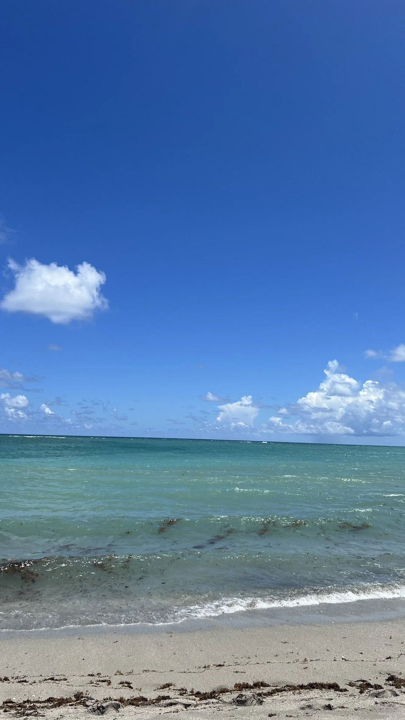 DuBois Park  (13).JPEG