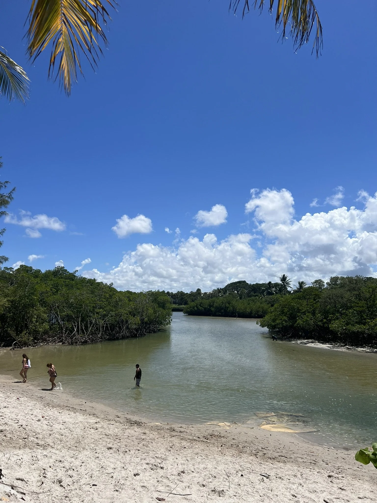 DuBois Park  (15).JPEG