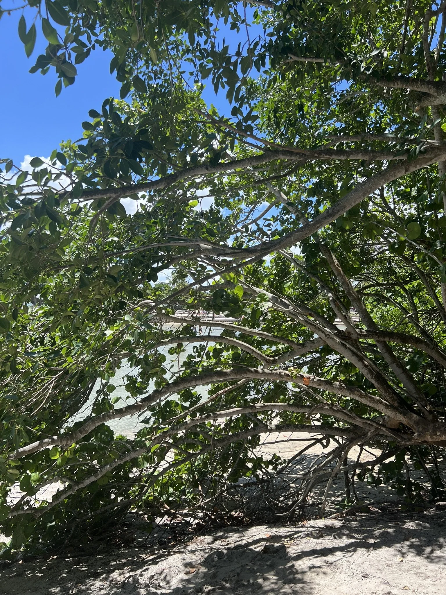 DuBois Park  (16).JPEG