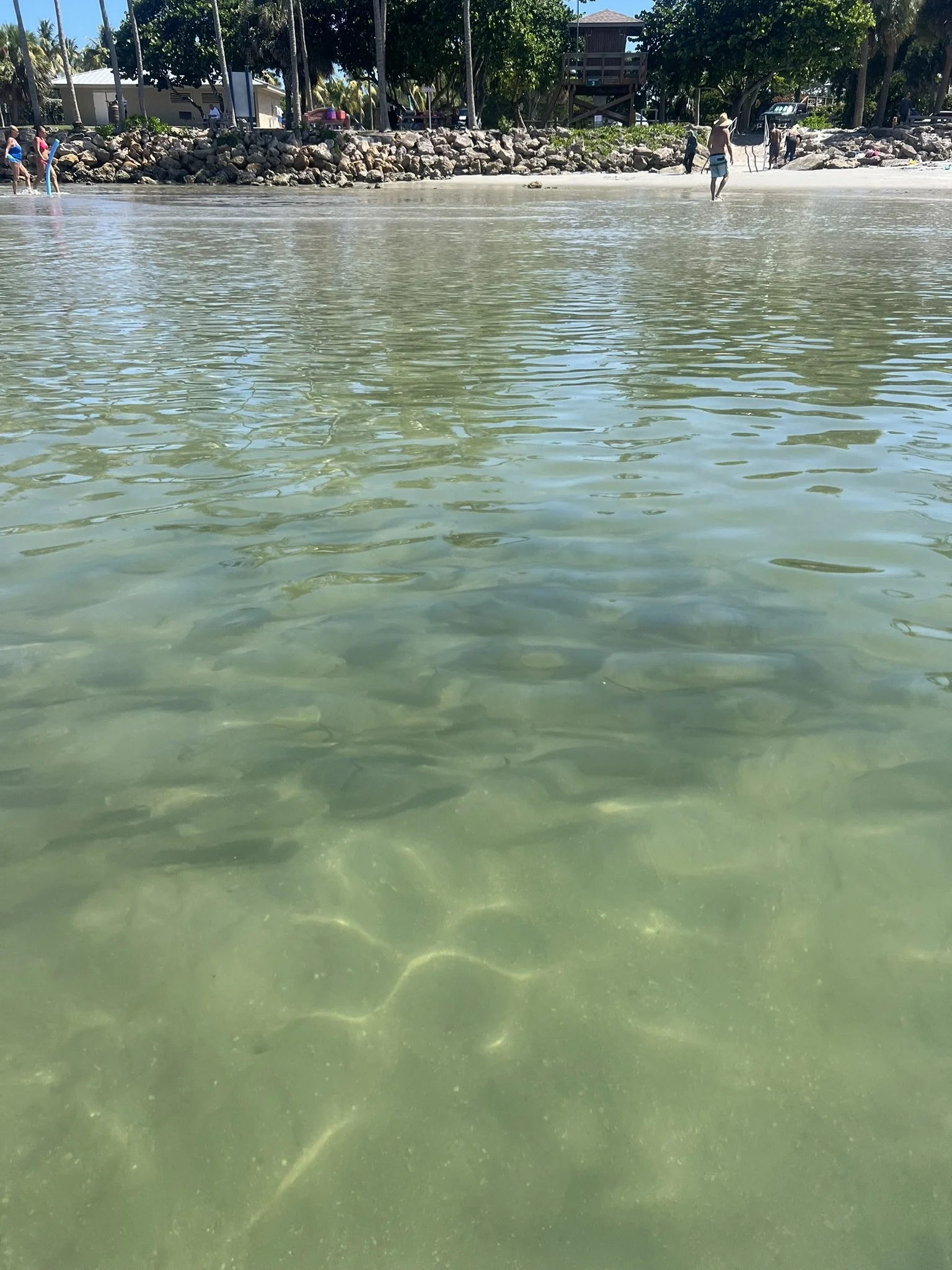 DuBois Park  (18).JPEG