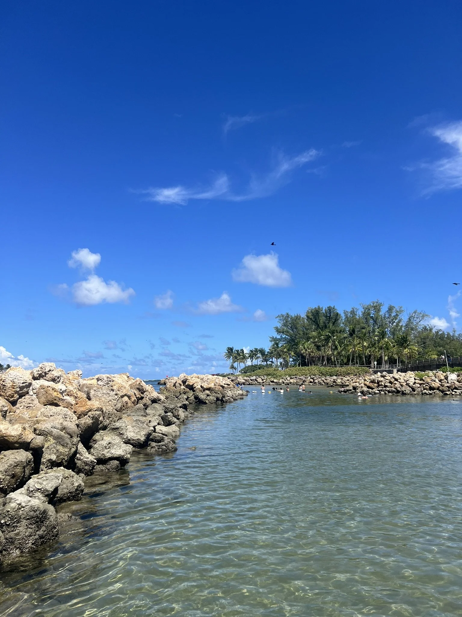 DuBois Park  (20).JPEG