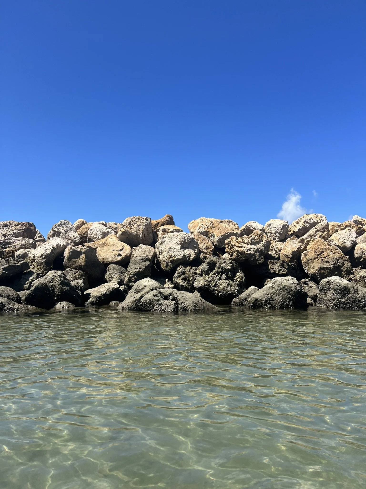 DuBois Park  (22).JPEG