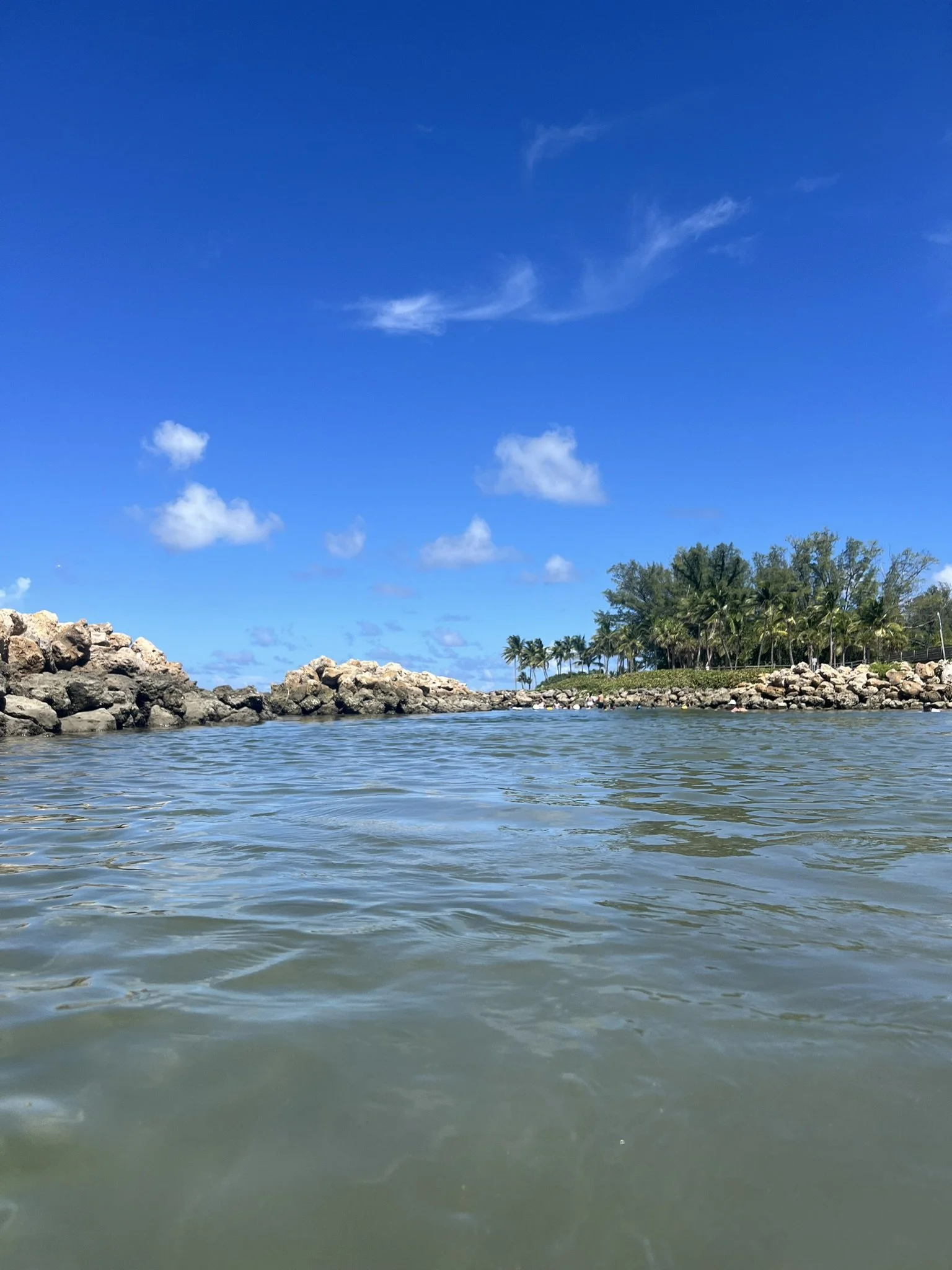 DuBois Park  (23).JPEG