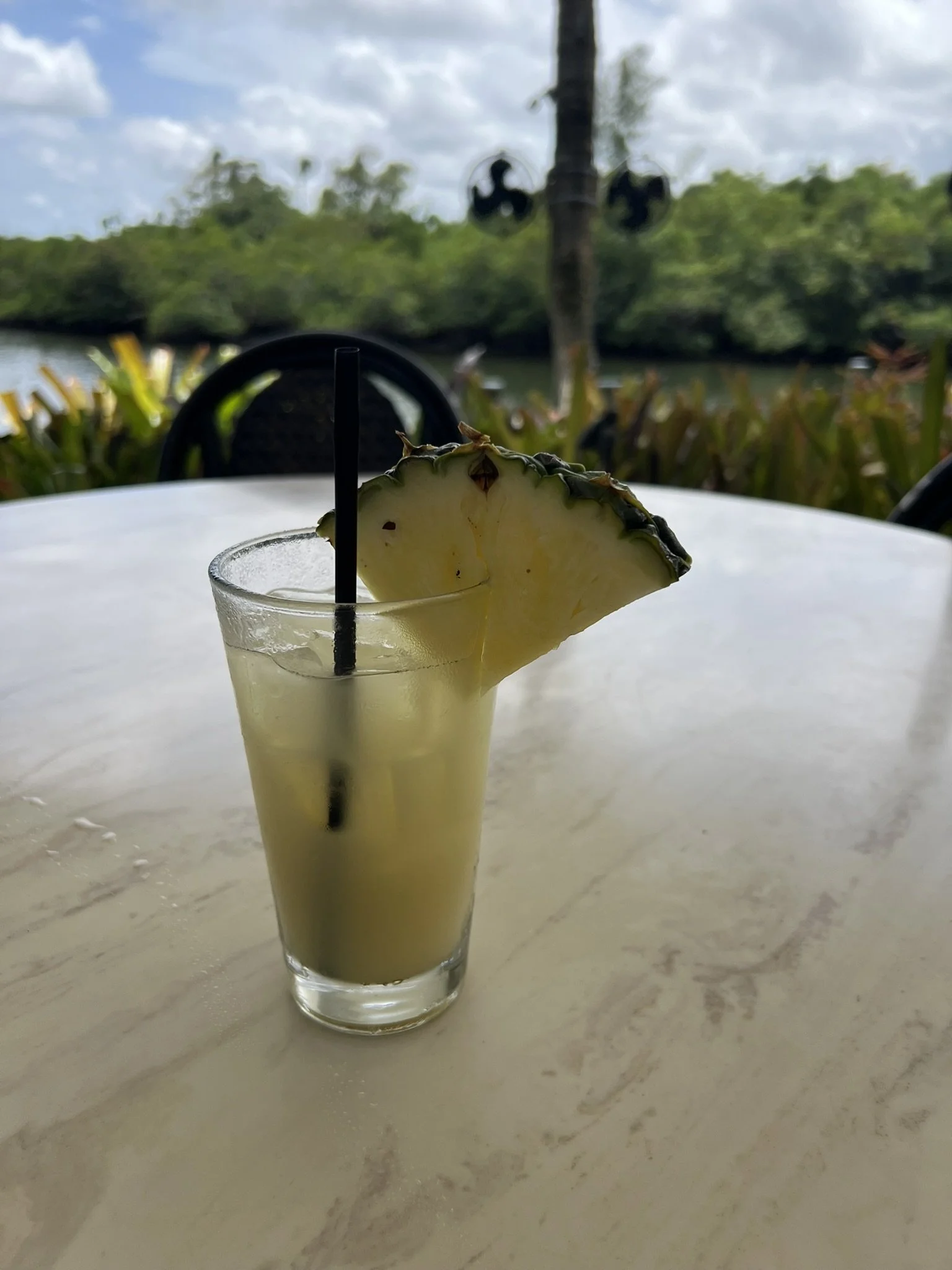 Guanabanas (12).JPEG