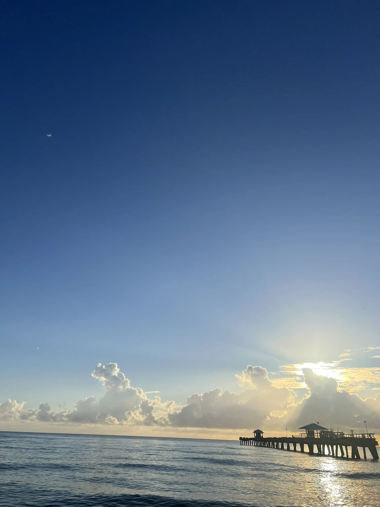 Lauderdale by the Sea 2024 (27).JPEG