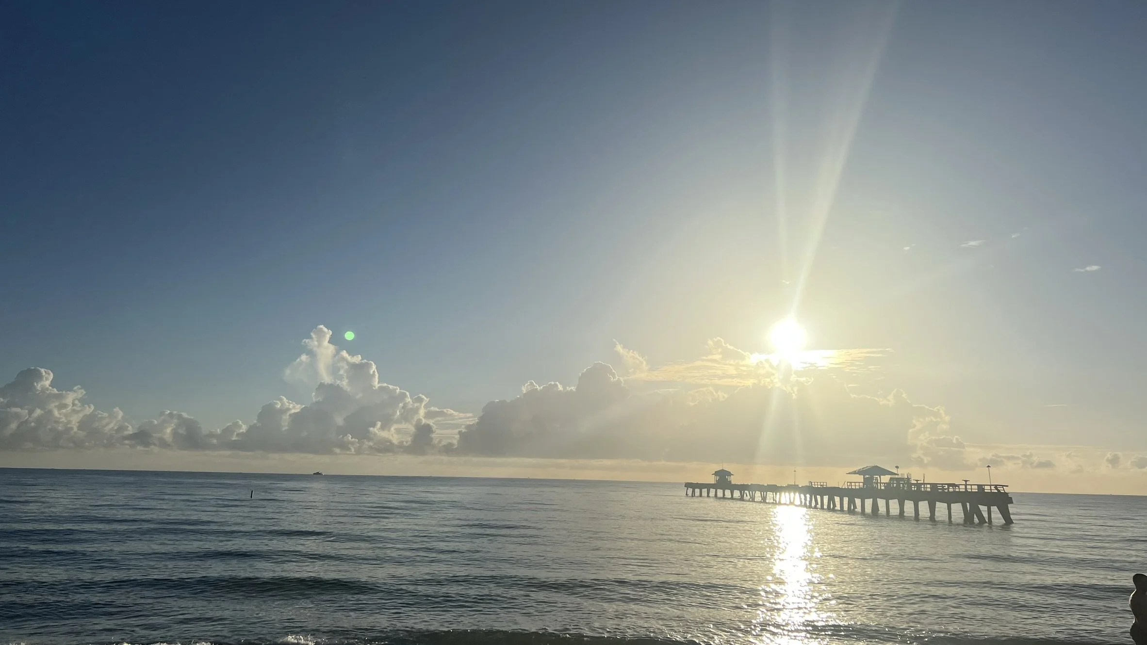 Lauderdale by the Sea 2024 (29).JPEG