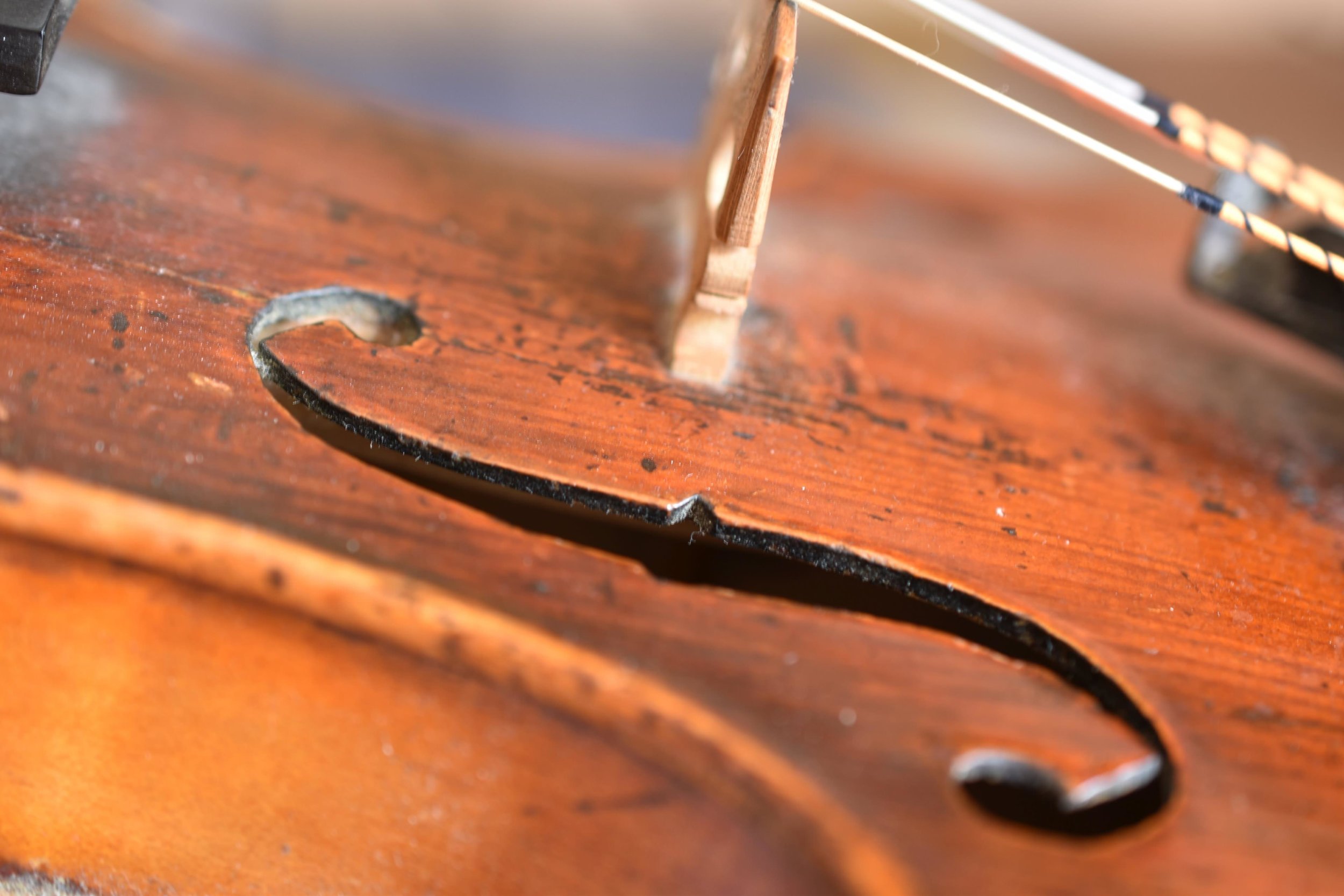 Violin-homepage.jpg