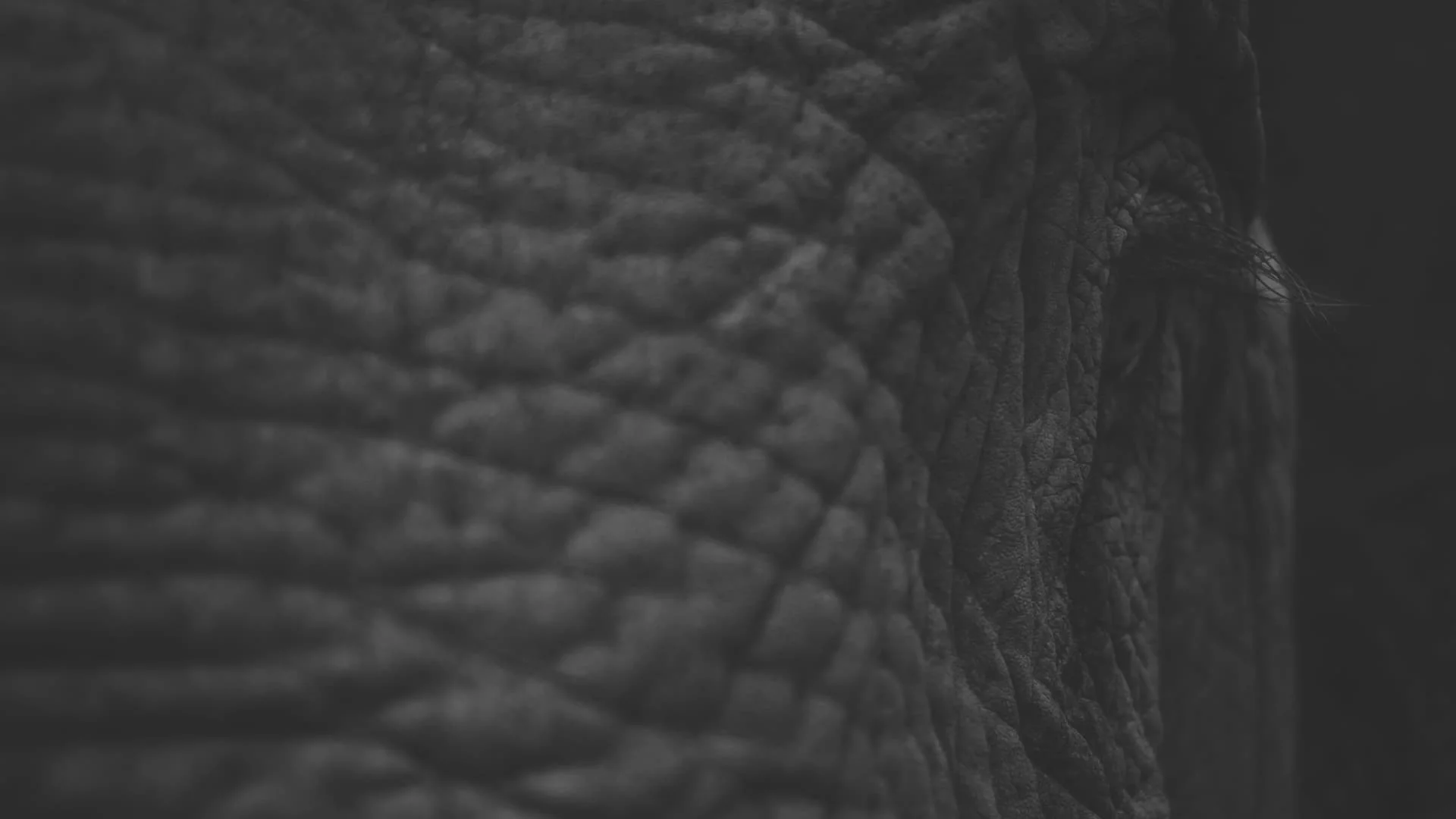 Mapping the subconscious mind.