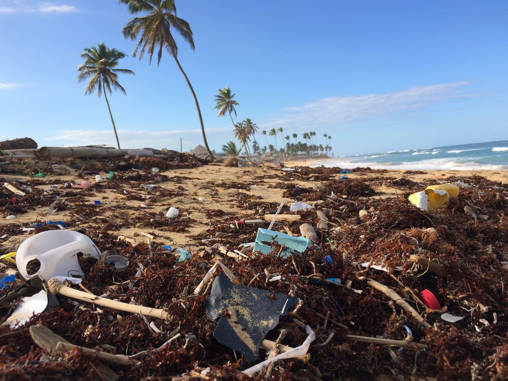 Plastic pollution on the beach near the ocean