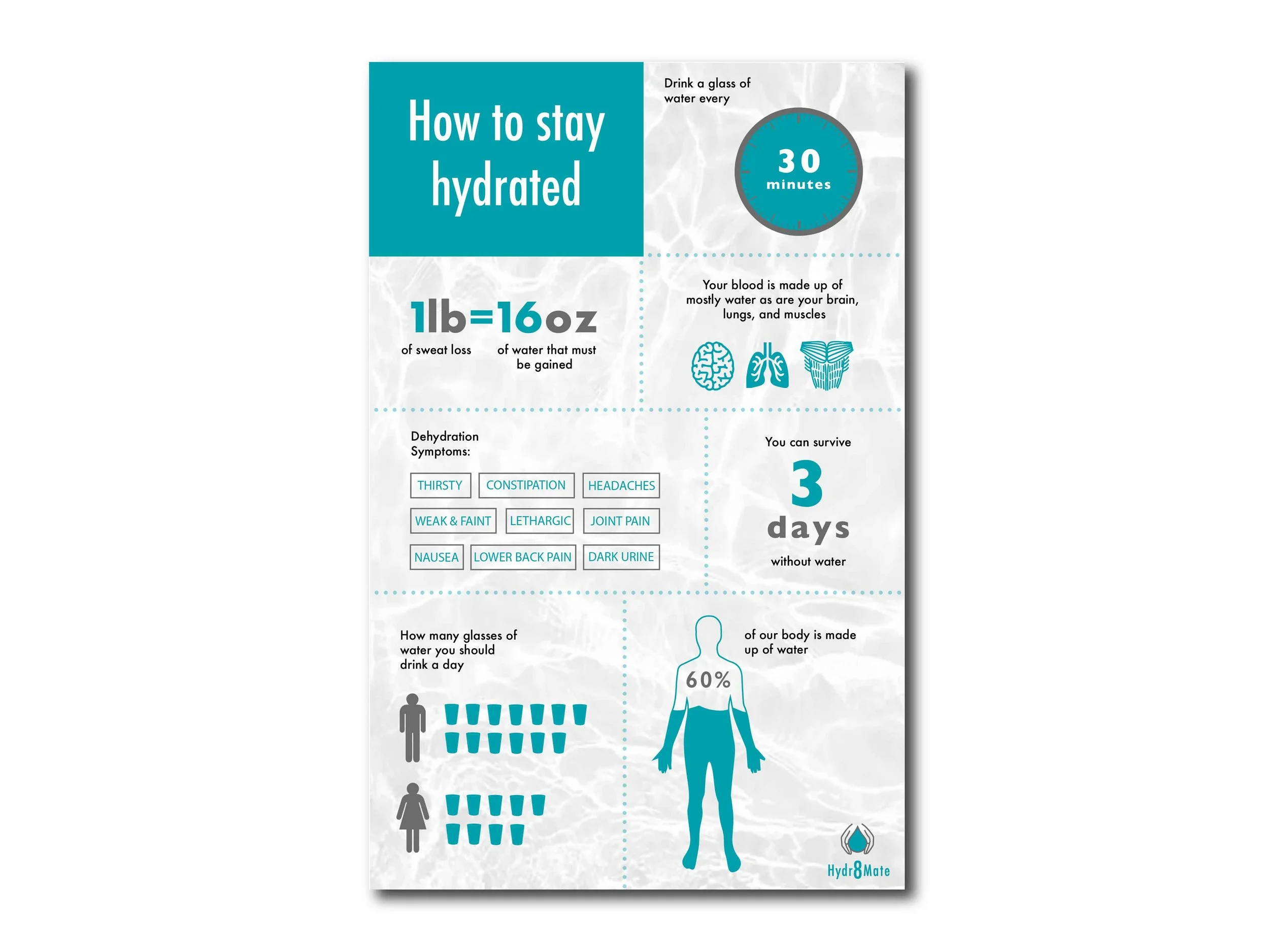 infograph-01.jpg