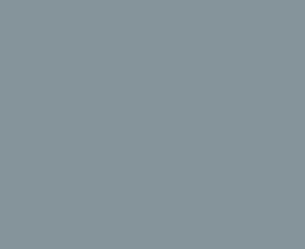 light grey.png