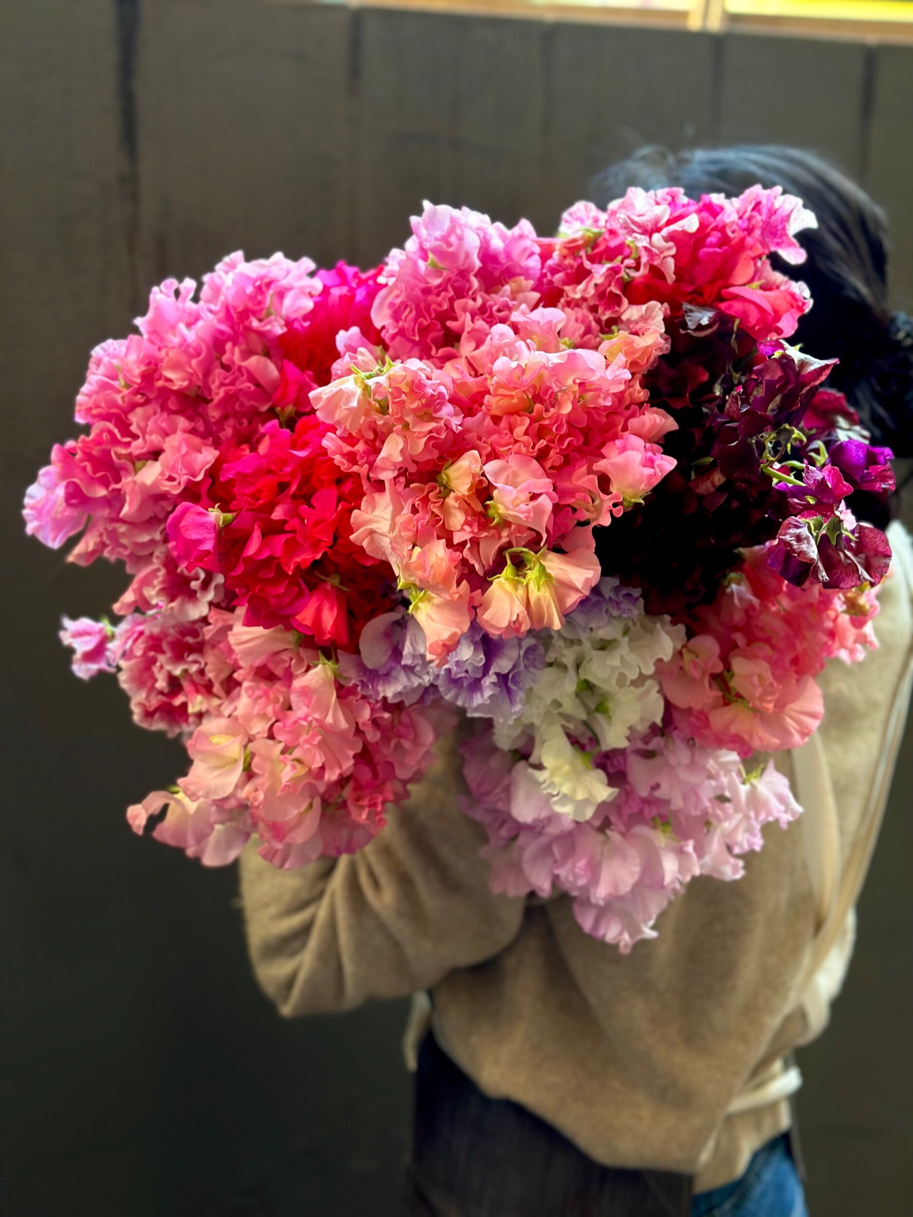 1B99A641-E694-47AA-BD3C-9BEA6EA9C5CE