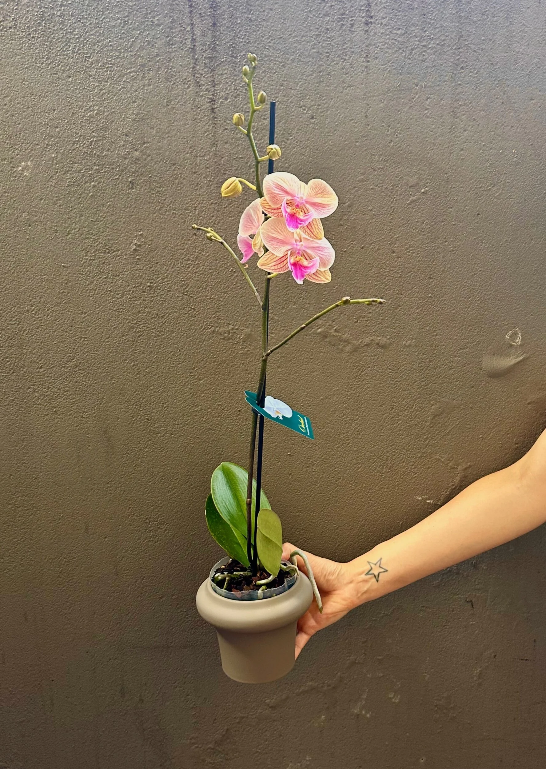 9CBF0779-CF86-4851-9673-5FA4BAC3E737