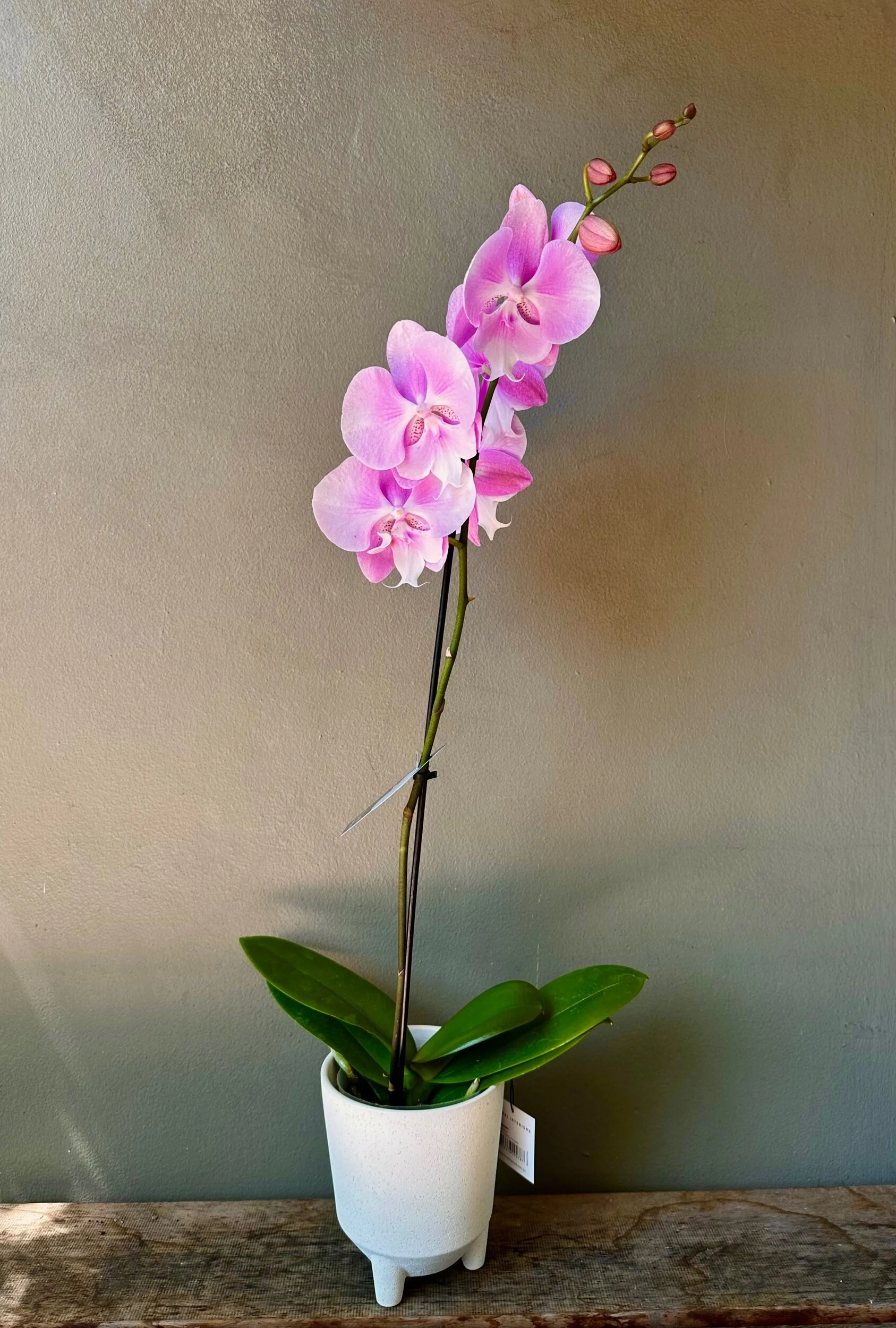 C7096E39-4693-4AD0-B096-9B35F49547B3