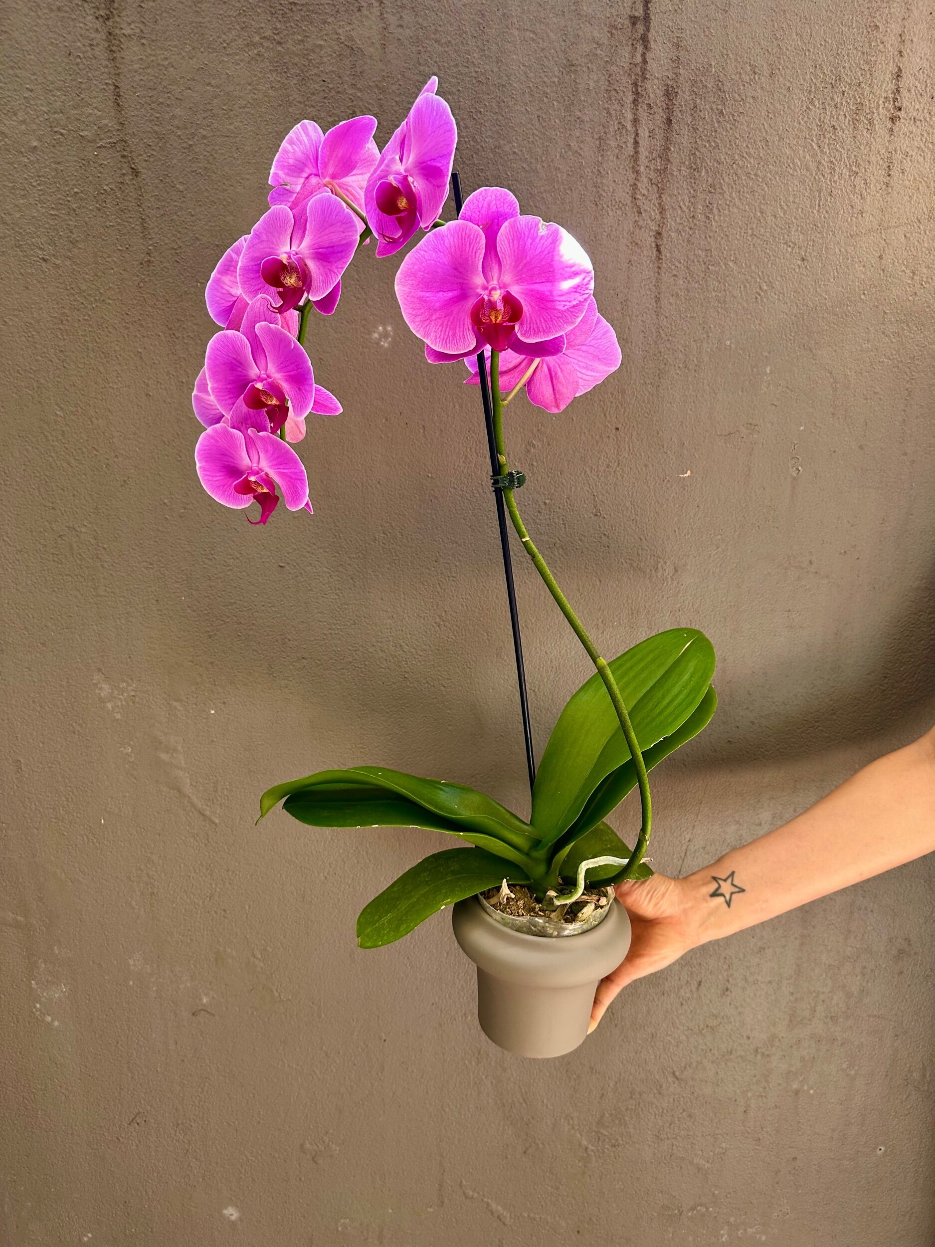 D6393240-AFBF-4C88-B0CF-043AD078FF6D