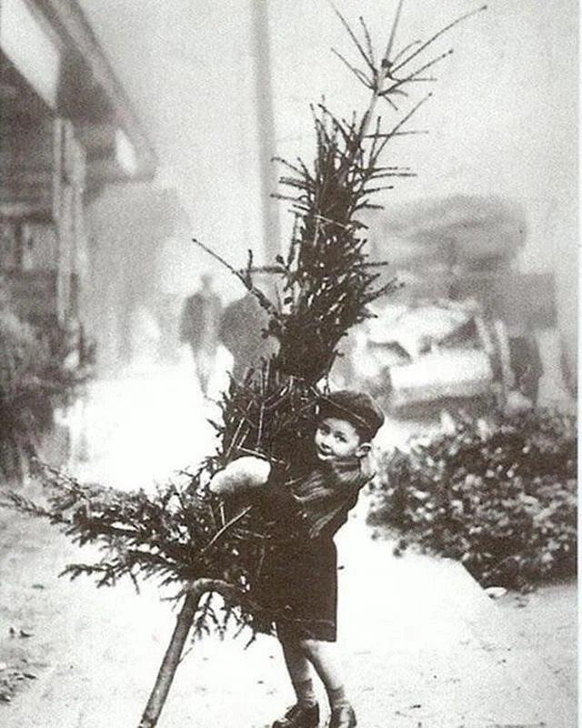 Italian Christmas Traditions