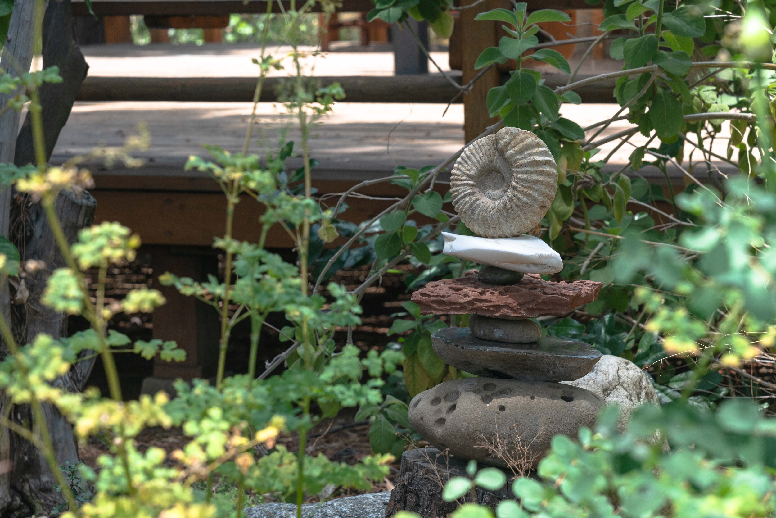 Ammonite Stack