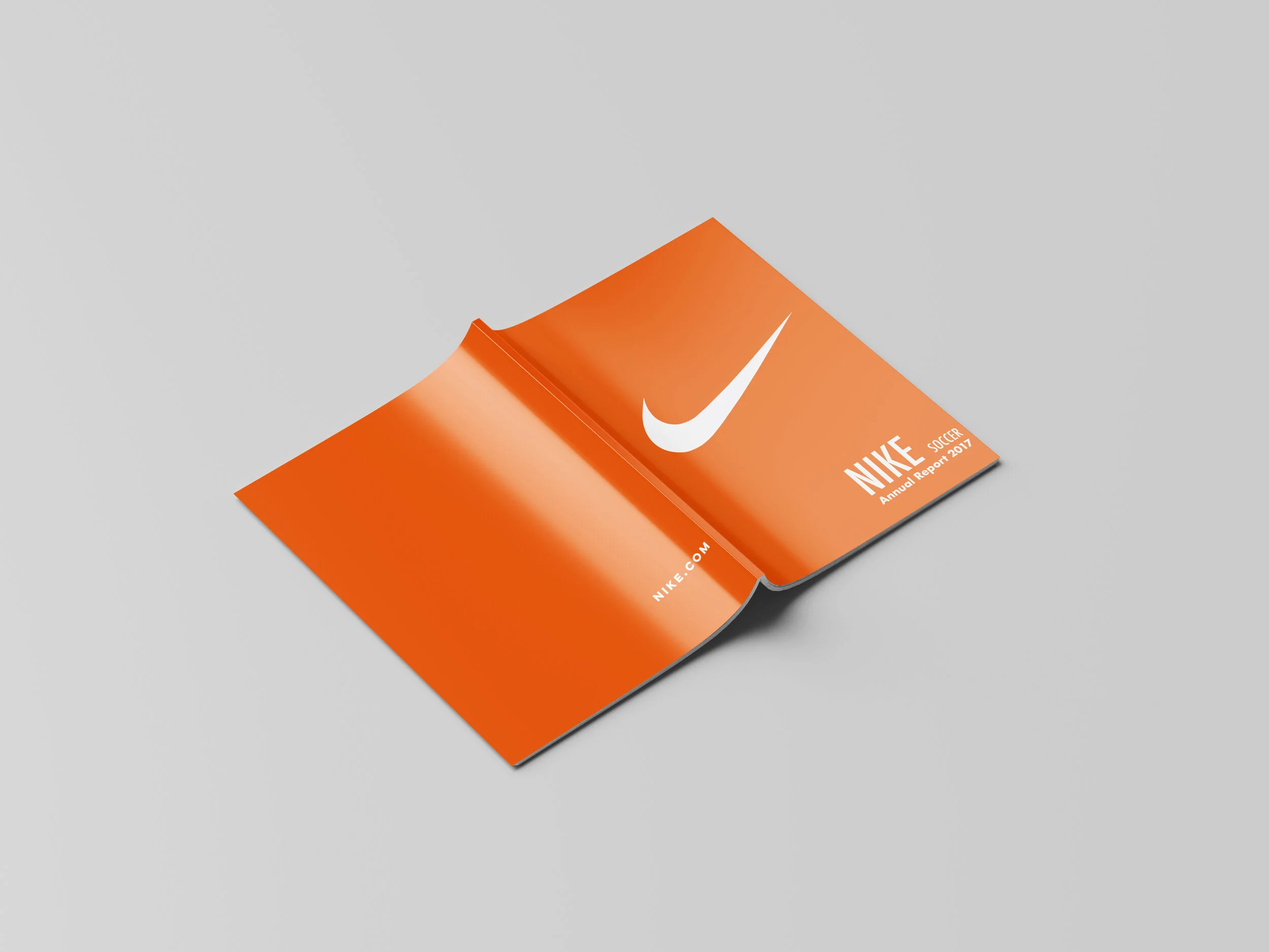 nike annual report
