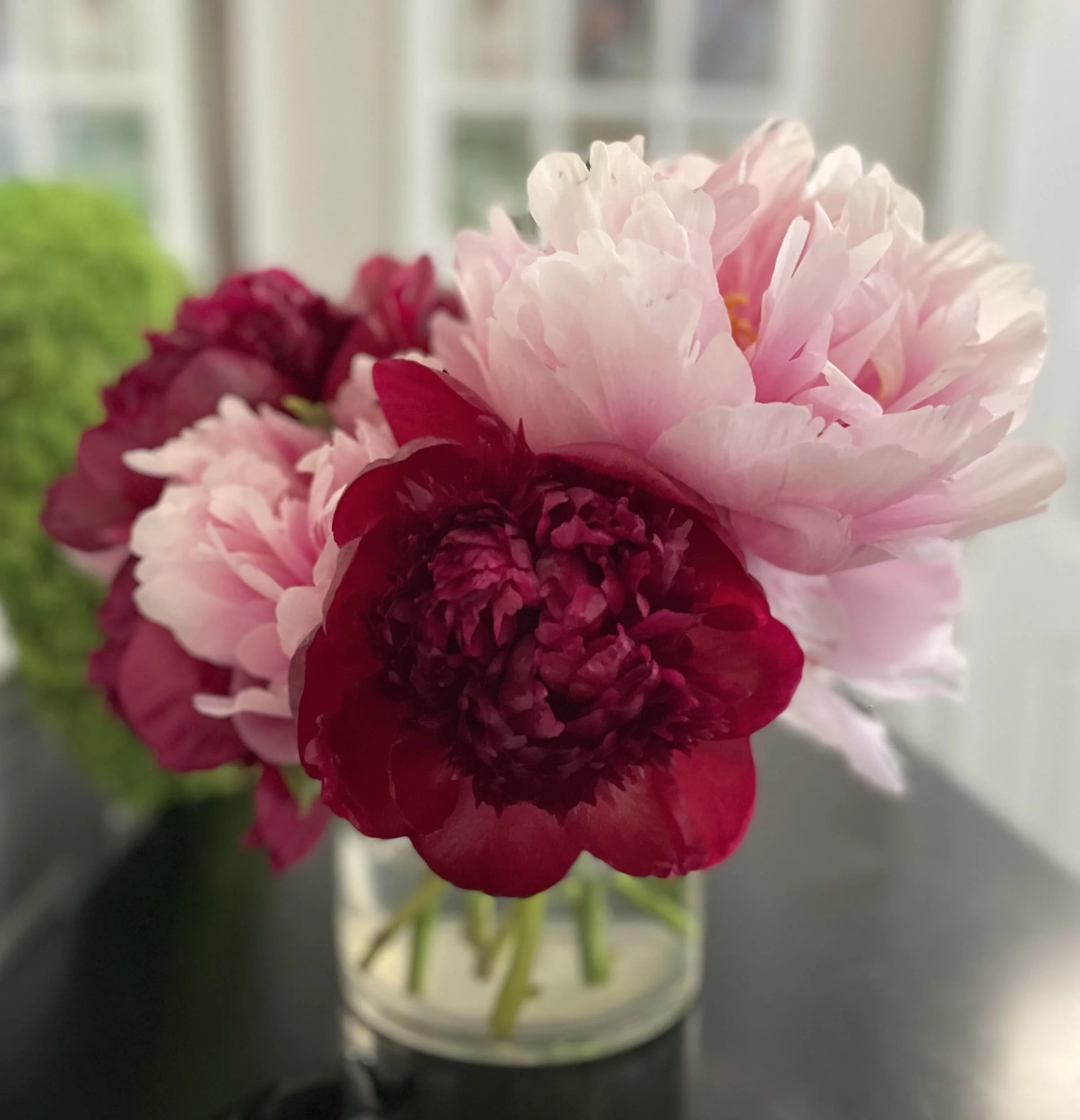 Chatham, 3 Bunch Classic Peony Subscription