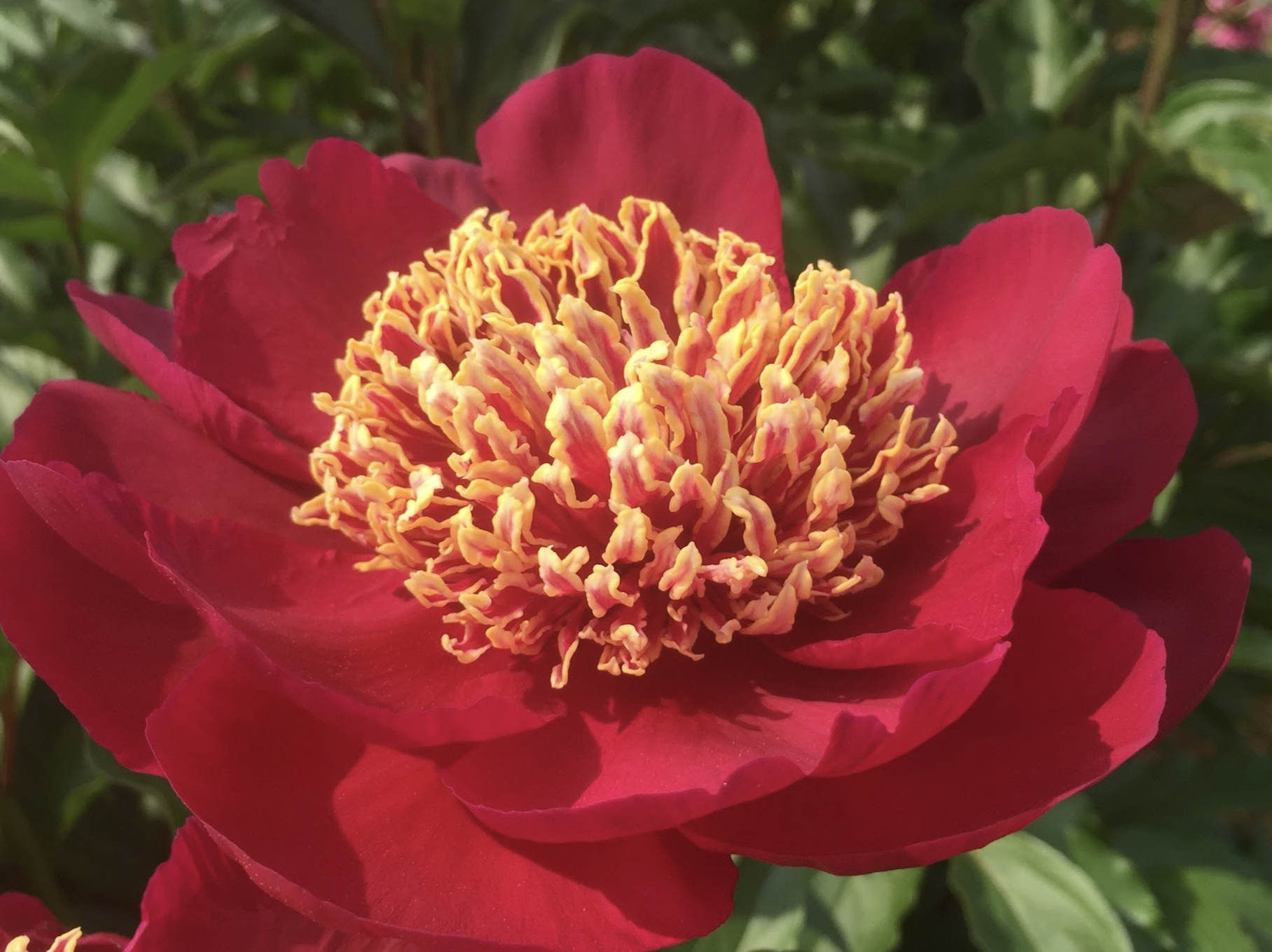 Screenshot 2026-04-07 at 12.15.08 PM.png