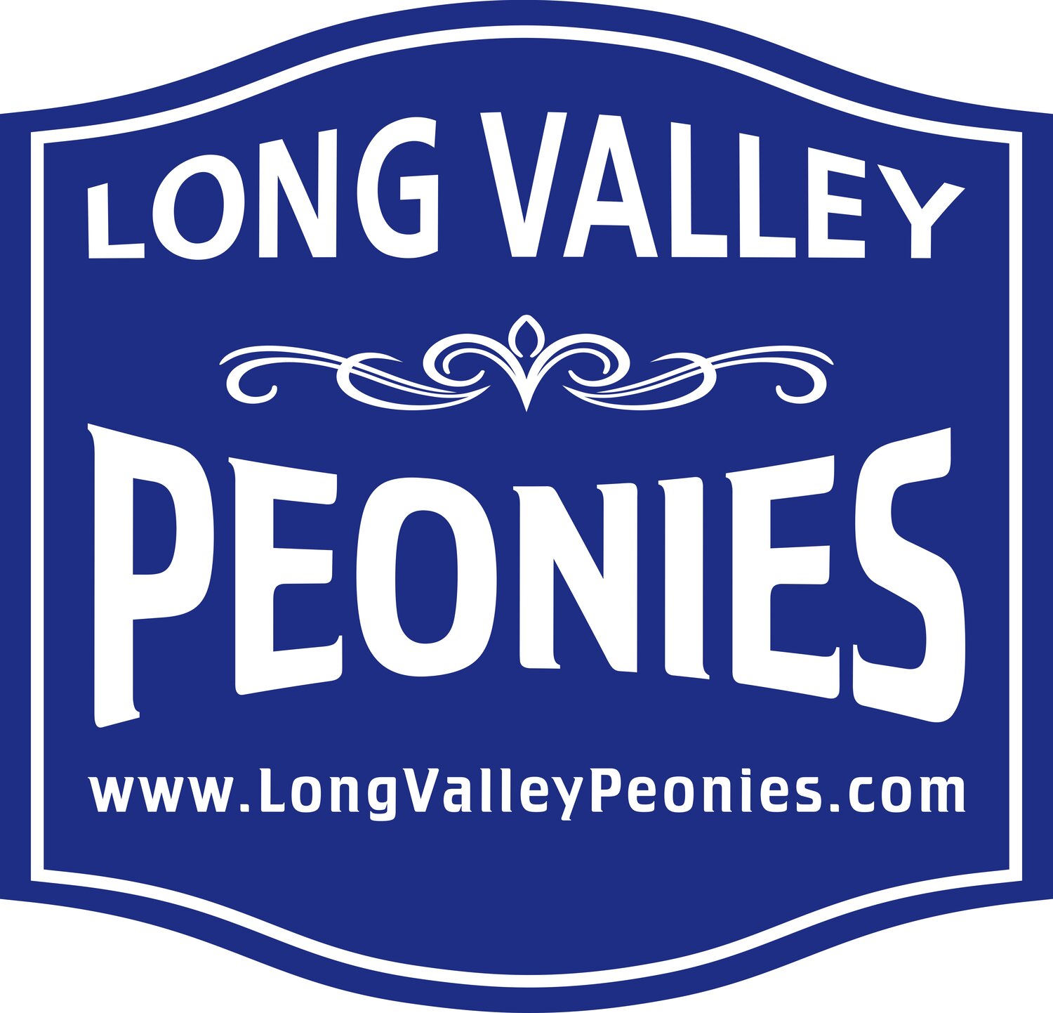 Long Valley Peonies