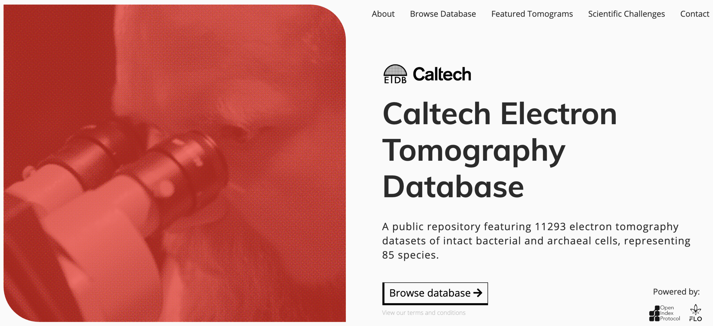 Screen Shot 2019-07-22 at 8.03.05 AM.png
