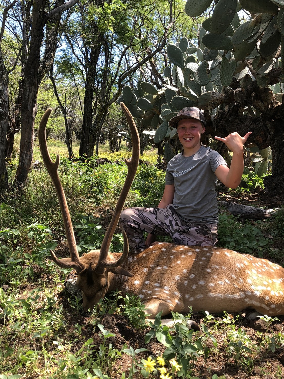 Axis Deer Rifle — Maui Deer Hunting